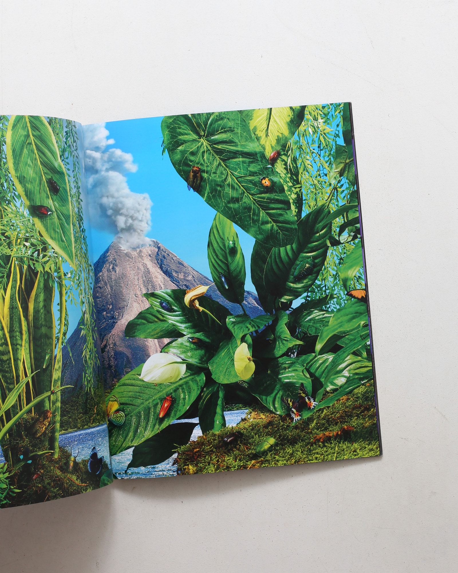 Toiletpaper Magazine 13
