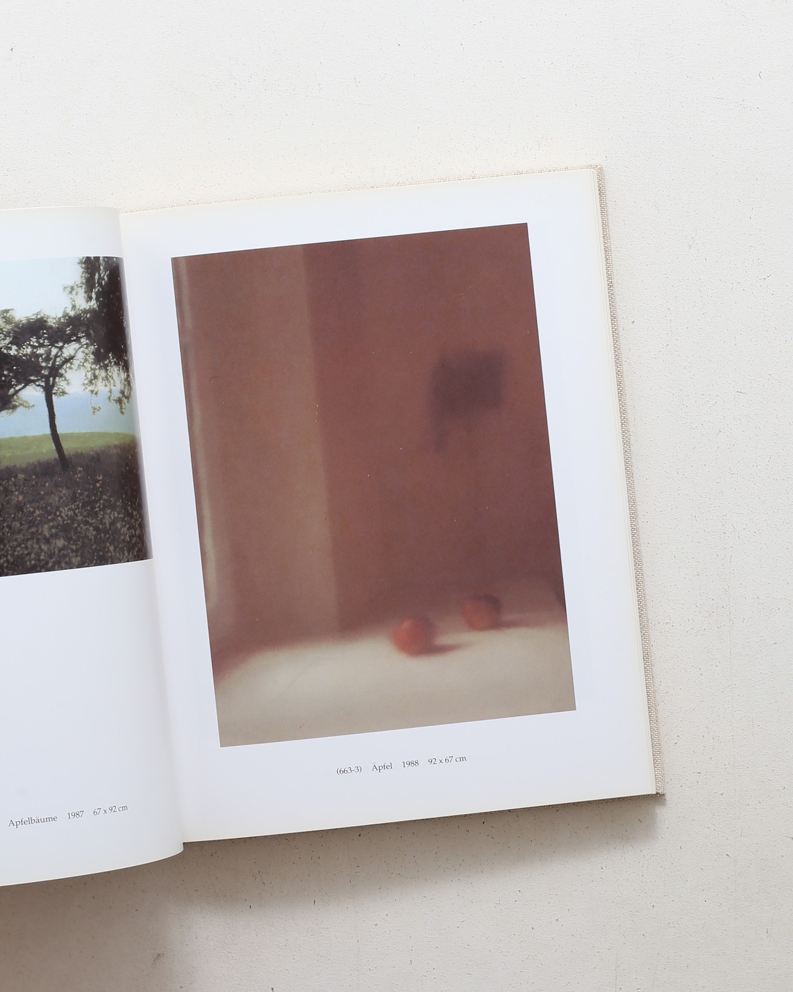 Gerhard Richter: 100 Pictures