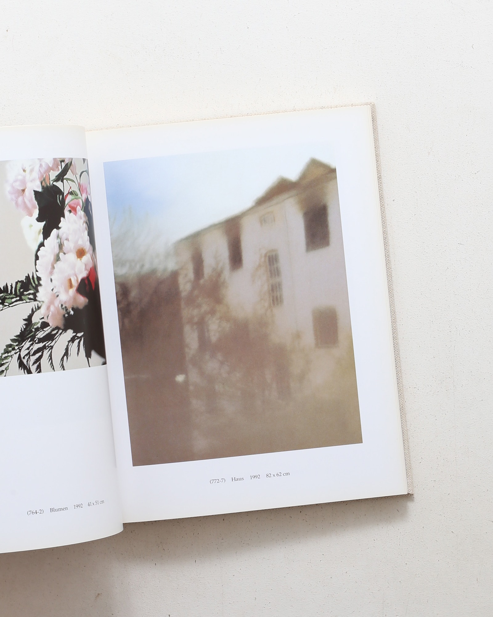 Gerhard Richter: 100 Pictures