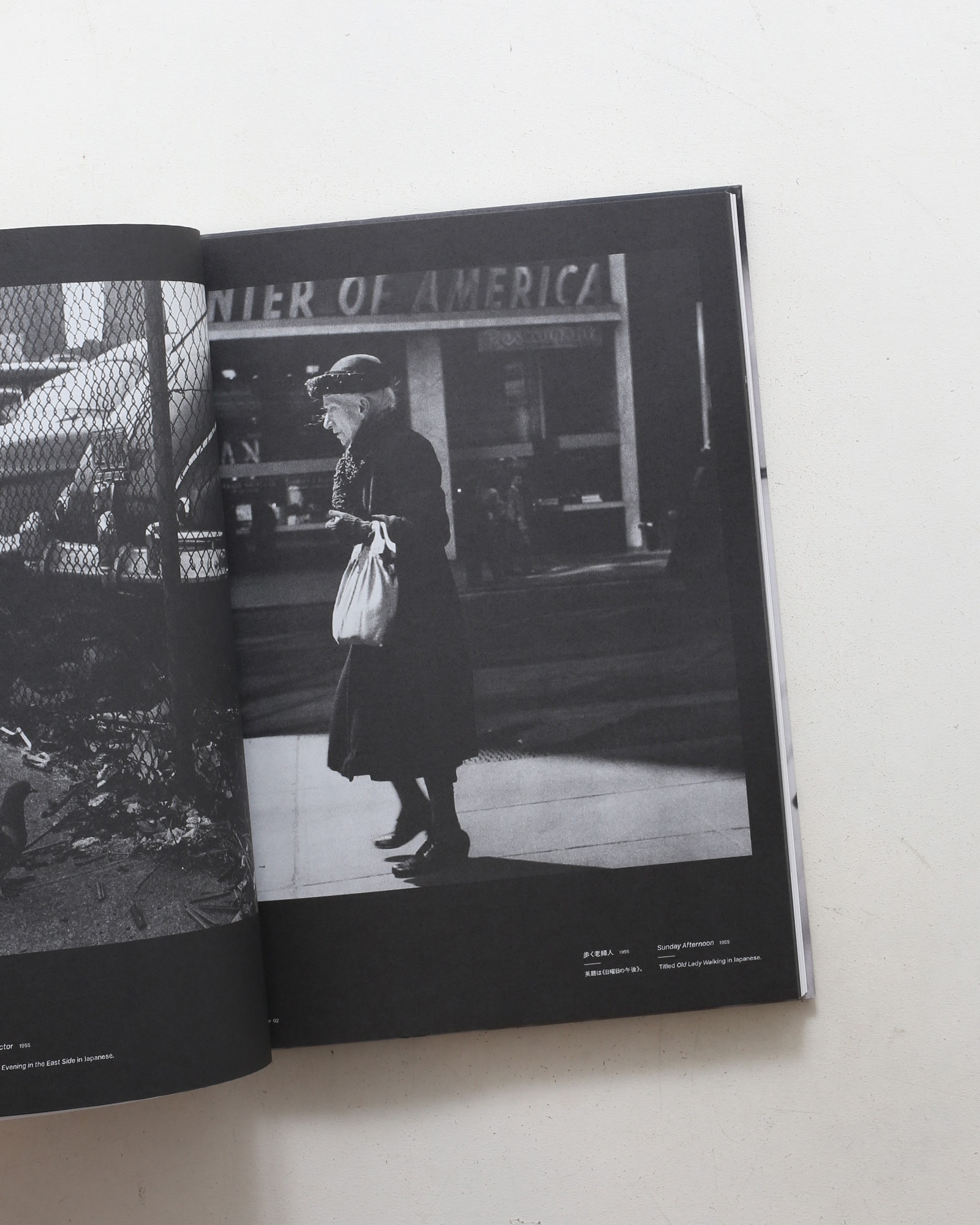 山沢栄子 私の現代 Eiko Yamazawa What I am Doing | nostos books