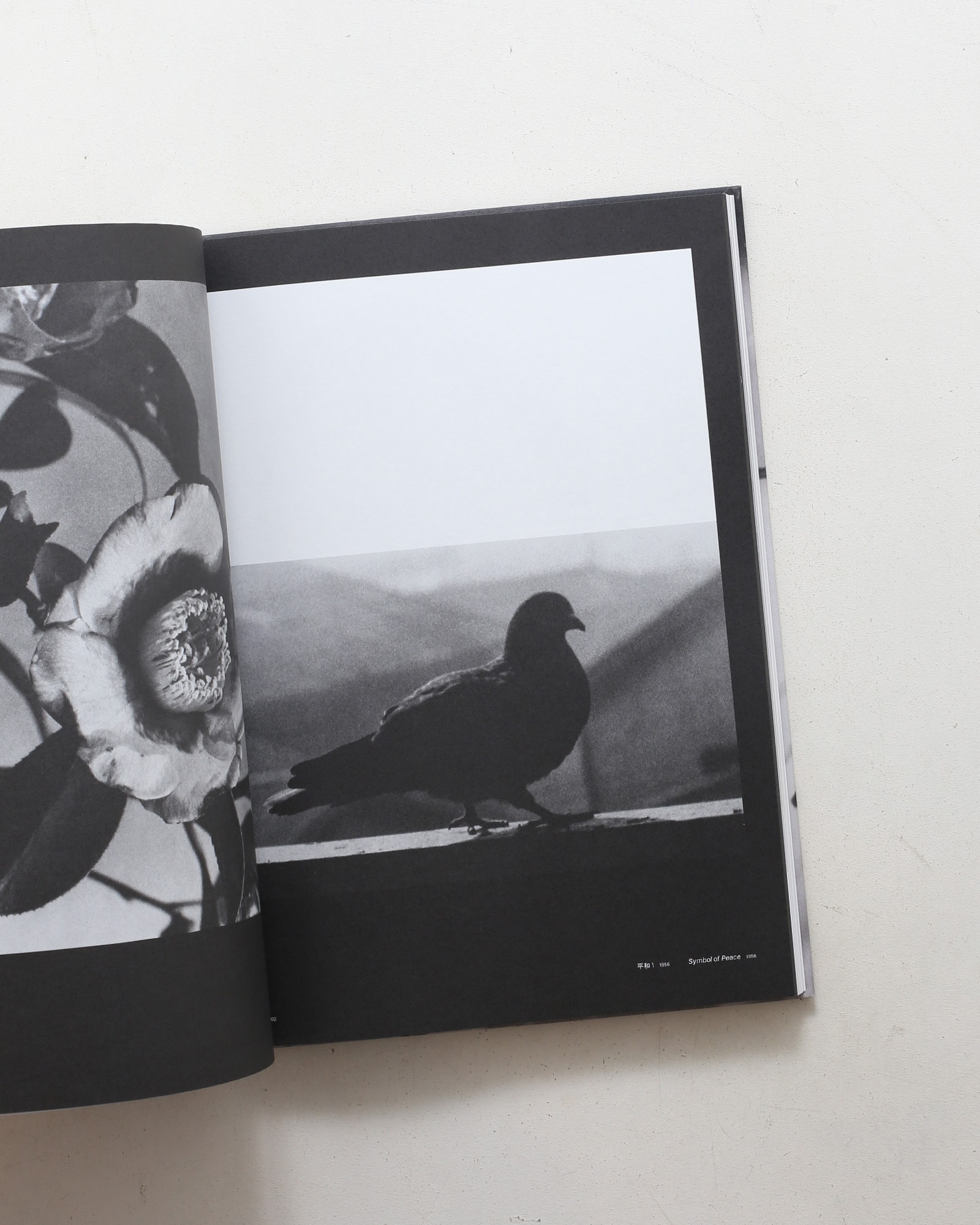 山沢栄子 私の現代 Eiko Yamazawa What I am Doing | nostos books