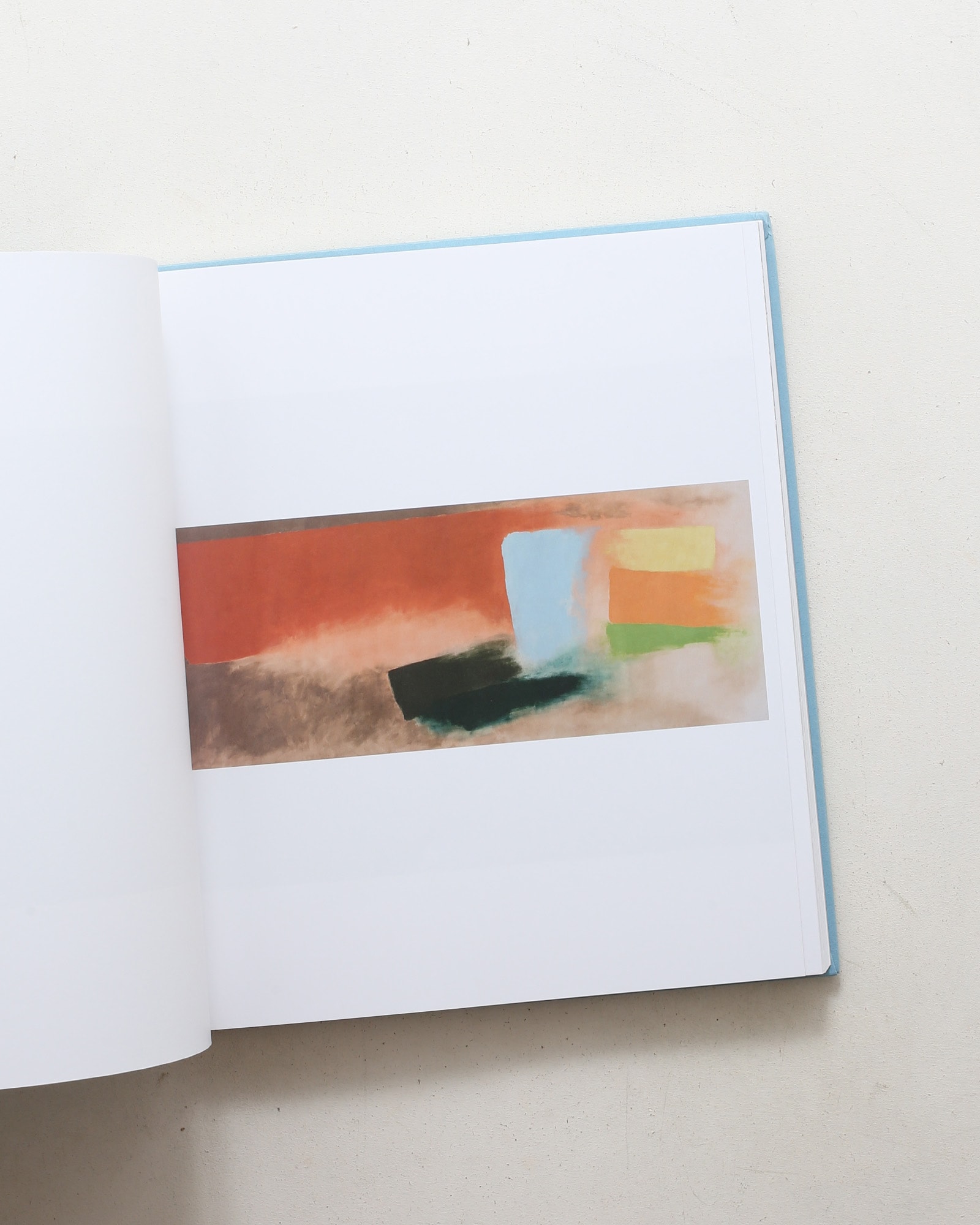 Color Fields カラーフィールド 色の海を泳ぐ