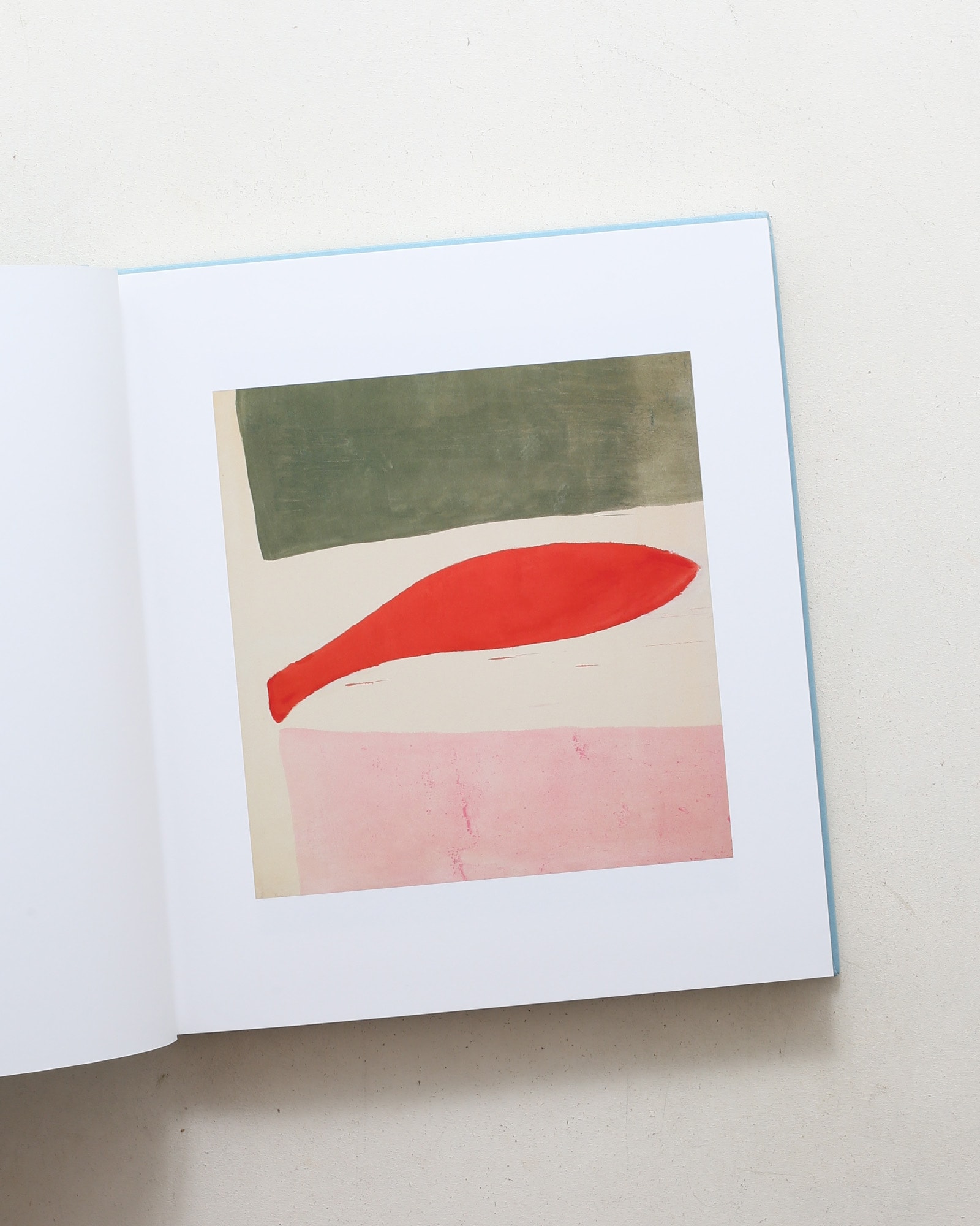 Color Fields カラーフィールド 色の海を泳ぐ | nostos books ノストス