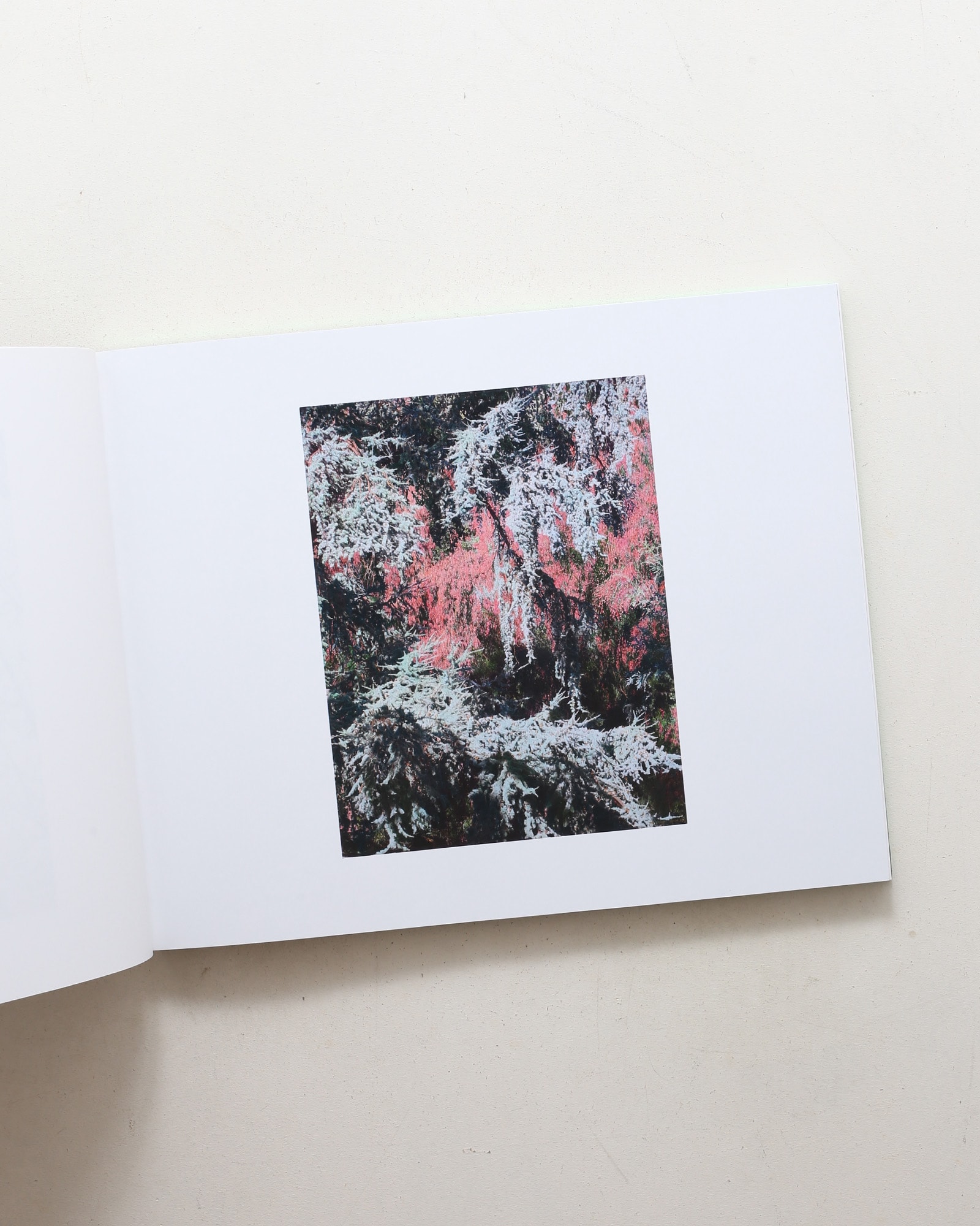 The Drawn Out Moment | Shi Guowei