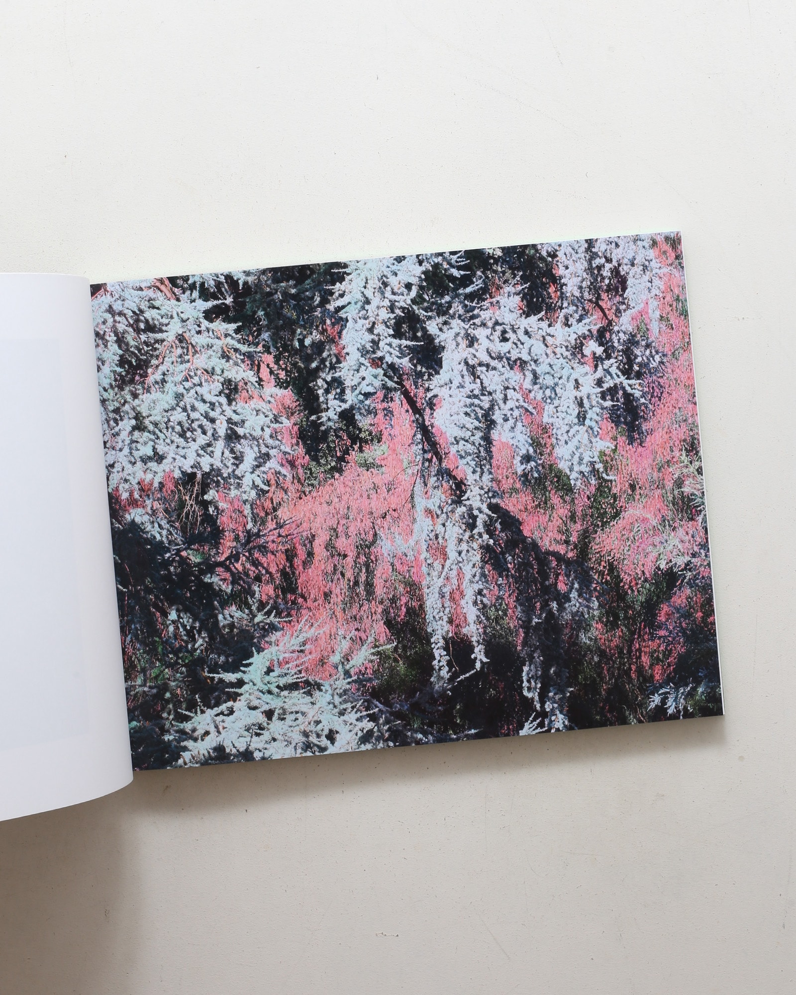 The Drawn Out Moment | Shi Guowei