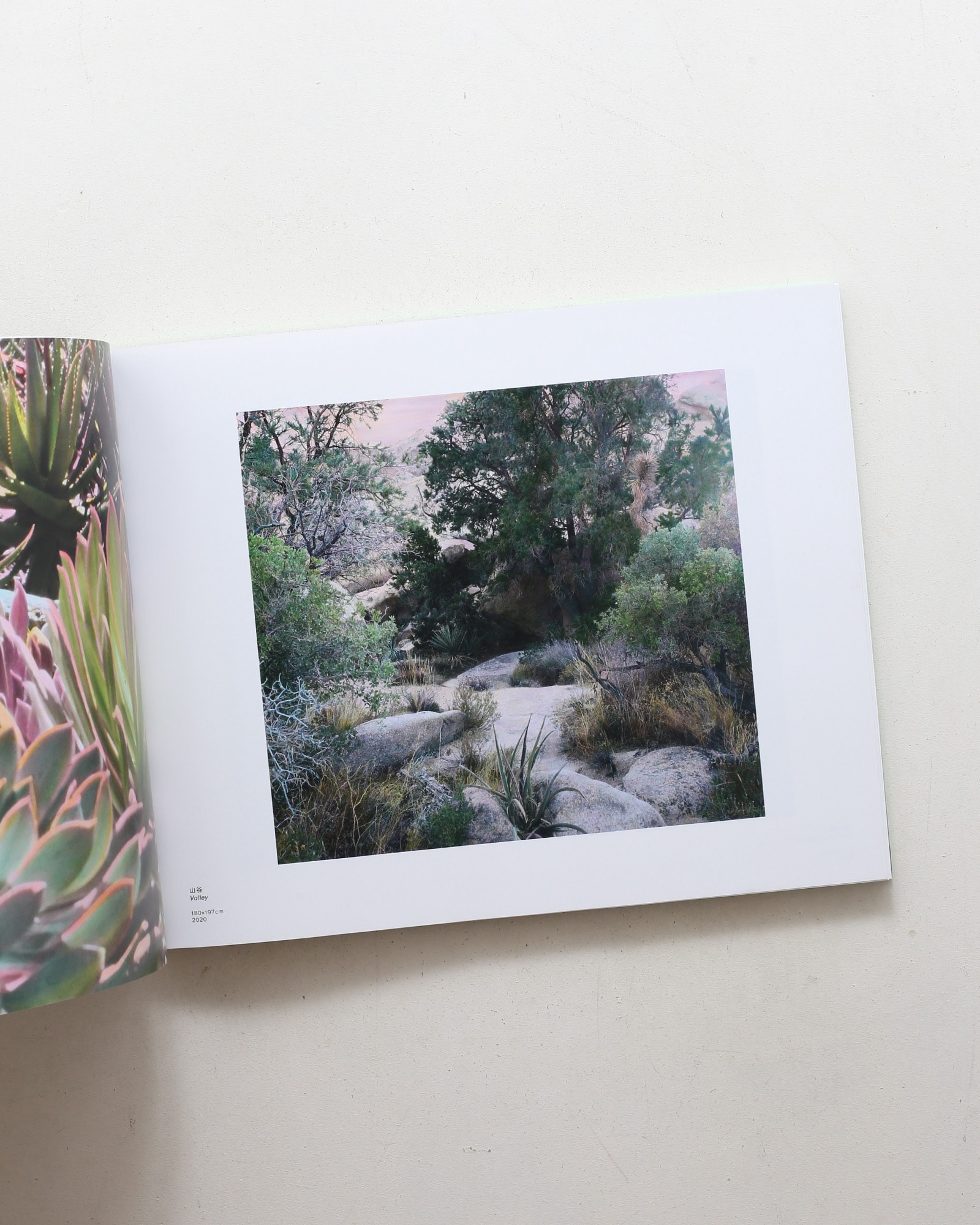 The Drawn Out Moment | Shi Guowei
