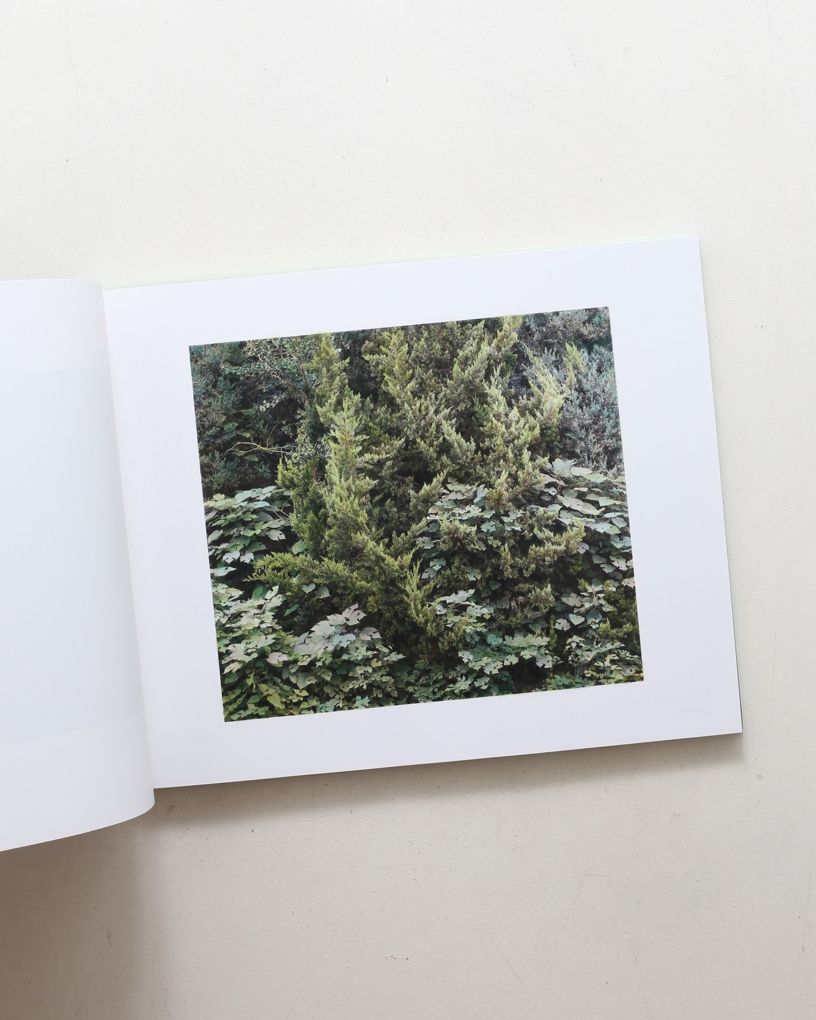 The Drawn Out Moment | Shi Guowei