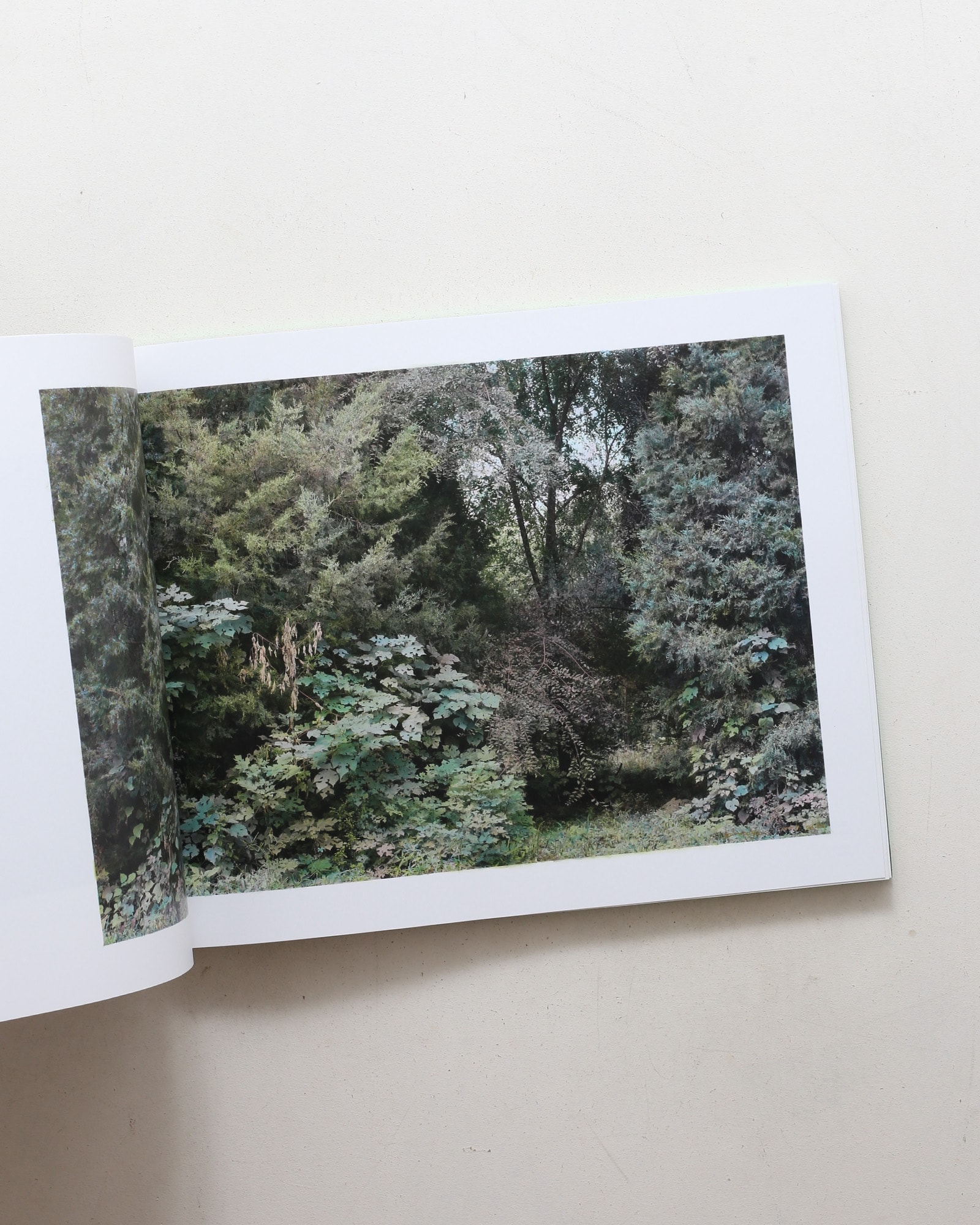 The Drawn Out Moment | Shi Guowei