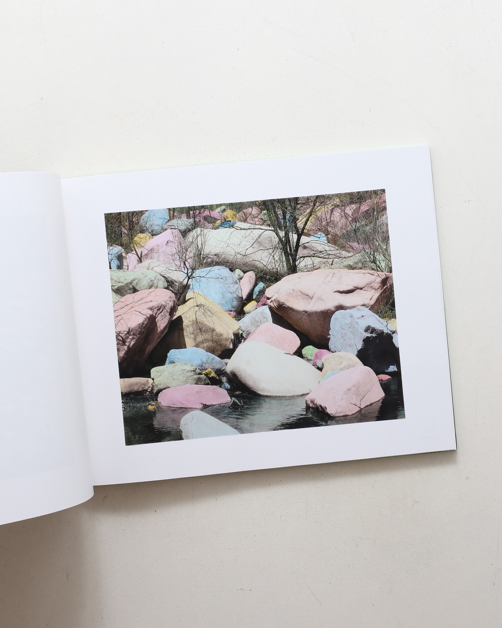 The Drawn Out Moment | Shi Guowei
