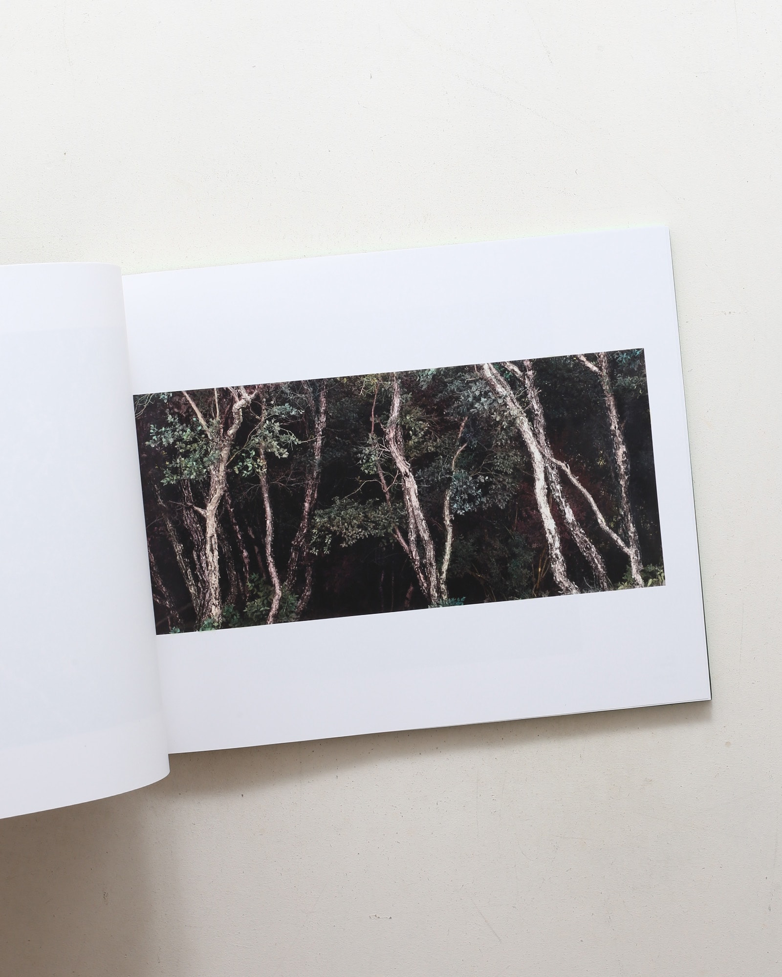 The Drawn Out Moment | Shi Guowei
