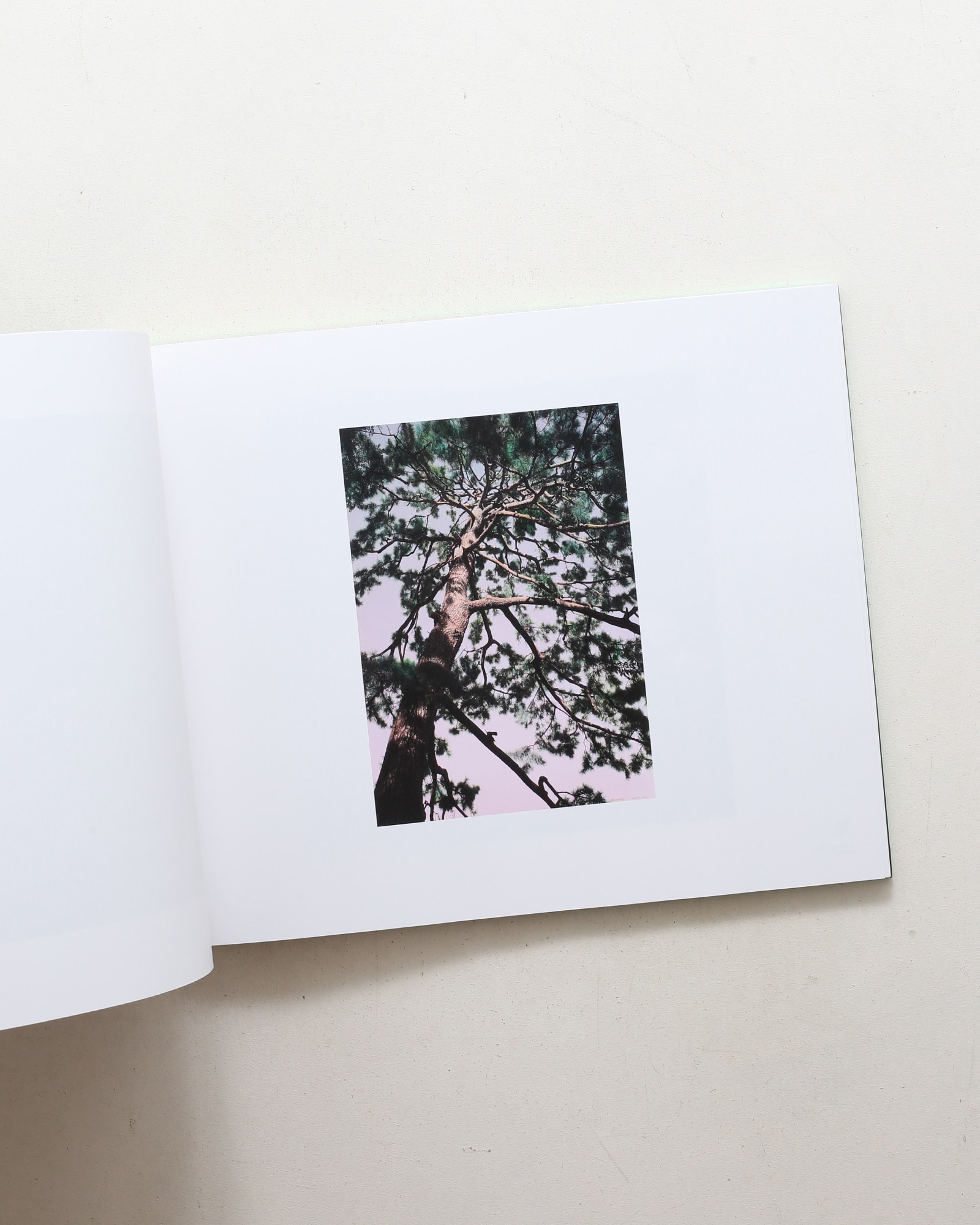 The Drawn Out Moment | Shi Guowei