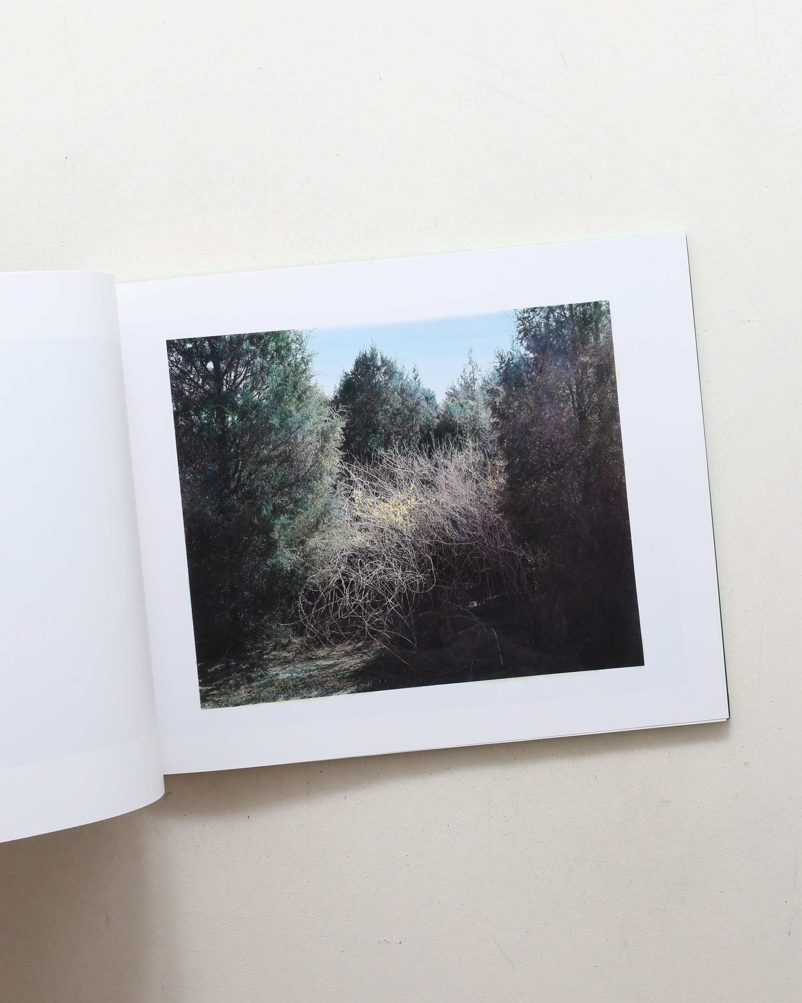 The Drawn Out Moment | Shi Guowei
