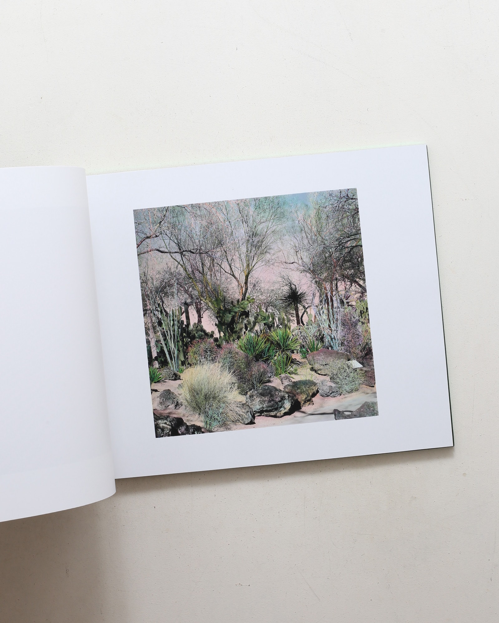 The Drawn Out Moment | Shi Guowei