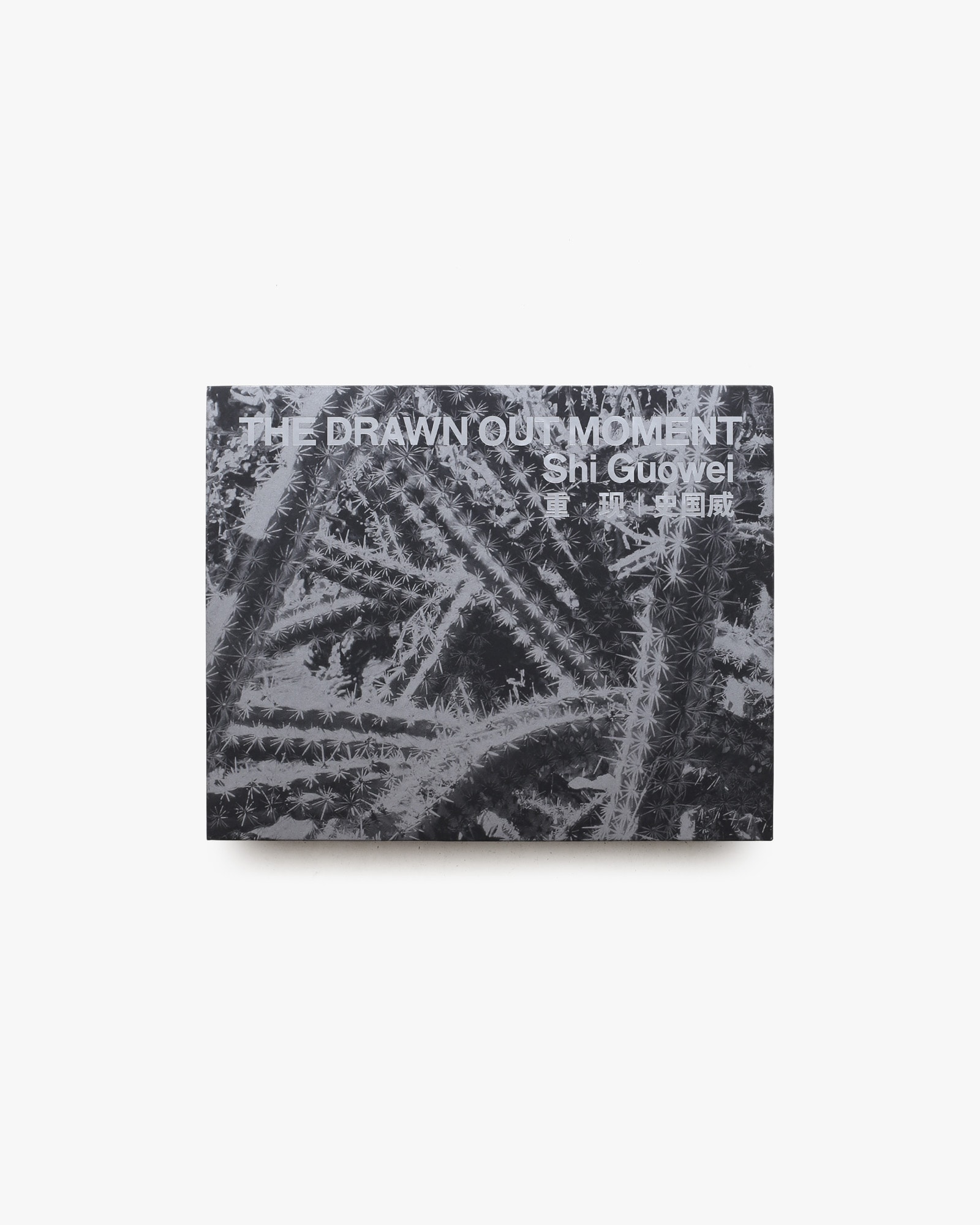 The Drawn Out Moment | Shi Guowei