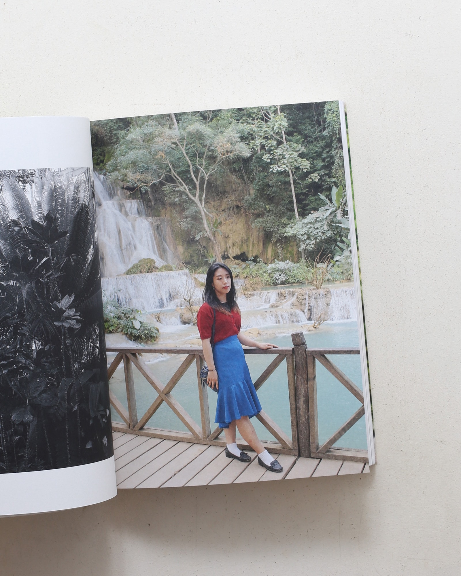My Grandfather Turned into a Tiger... and Other Illusions | Pao Houa Her