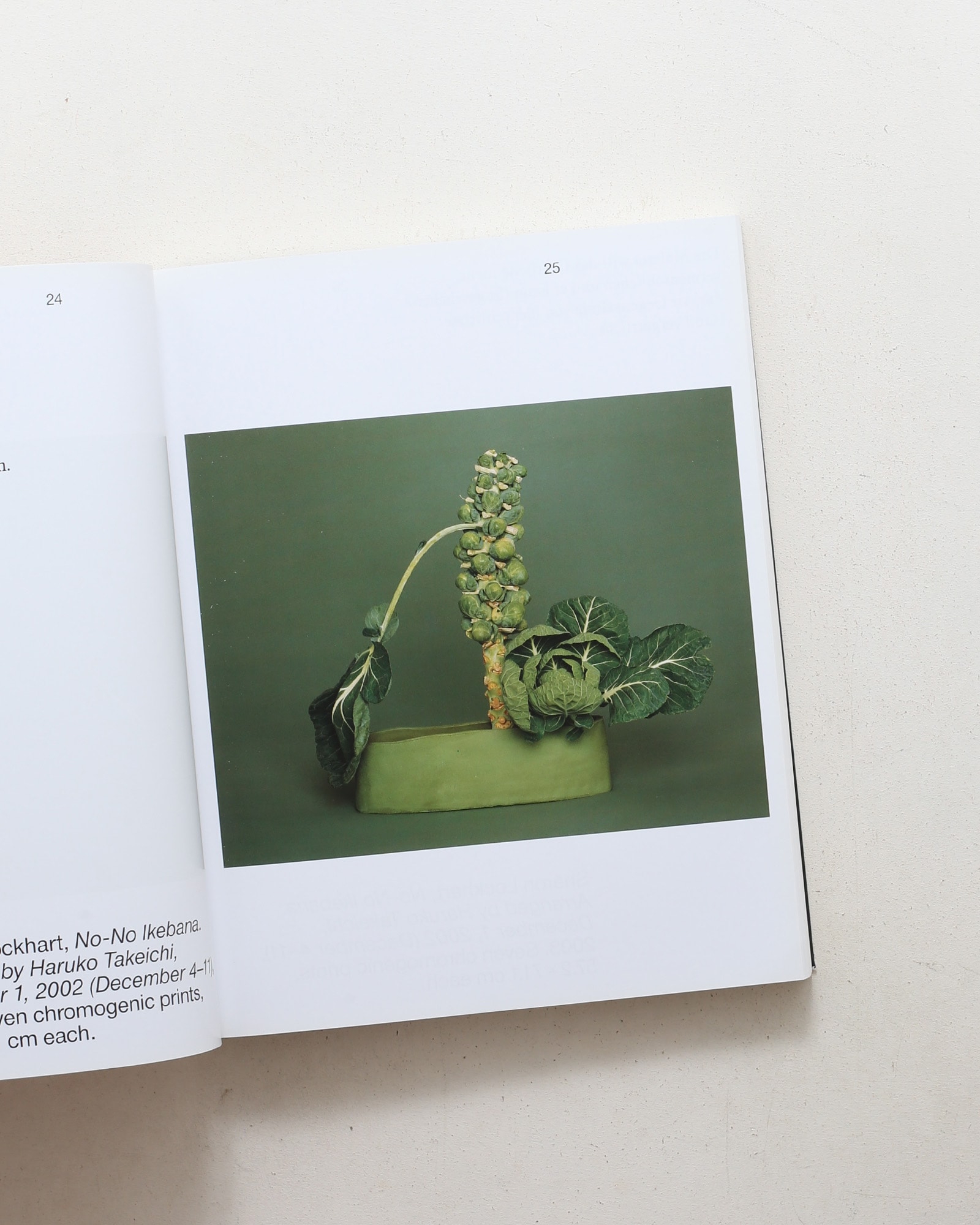 Obstinacy of Things: Still Life in Photographic Concepts of the Present