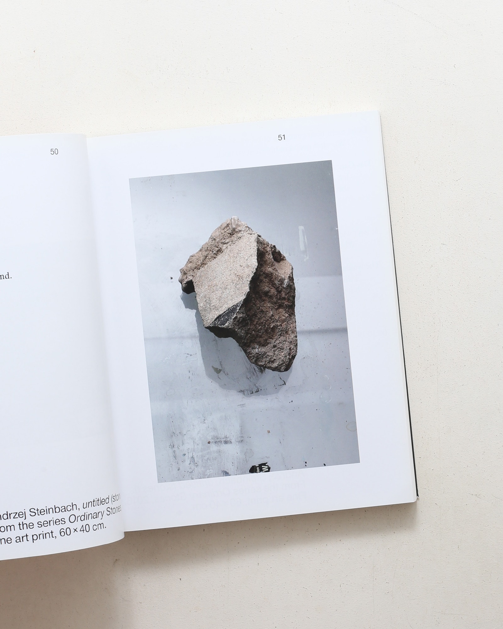 Obstinacy of Things: Still Life in Photographic Concepts of the Present
