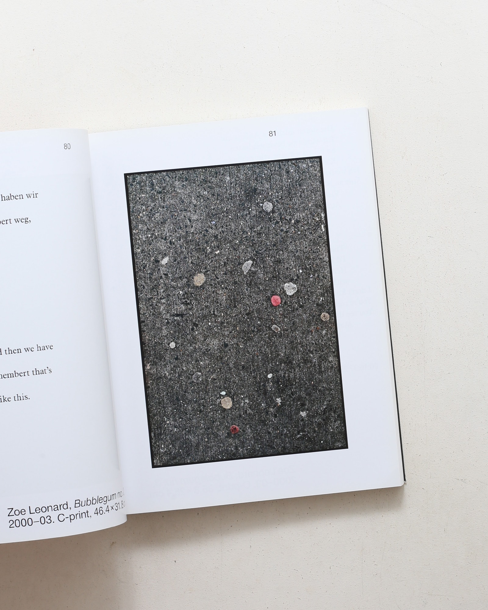 Obstinacy of Things: Still Life in Photographic Concepts of the Present