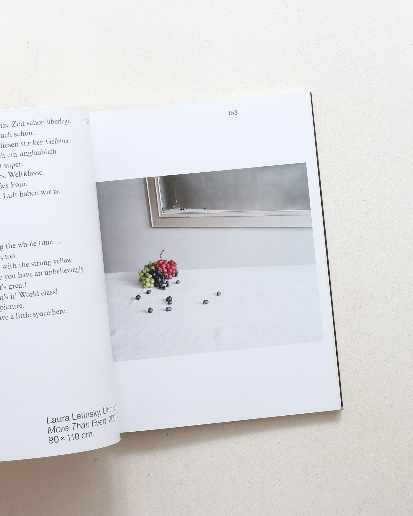 Obstinacy of Things: Still Life in Photographic Concepts of the Present