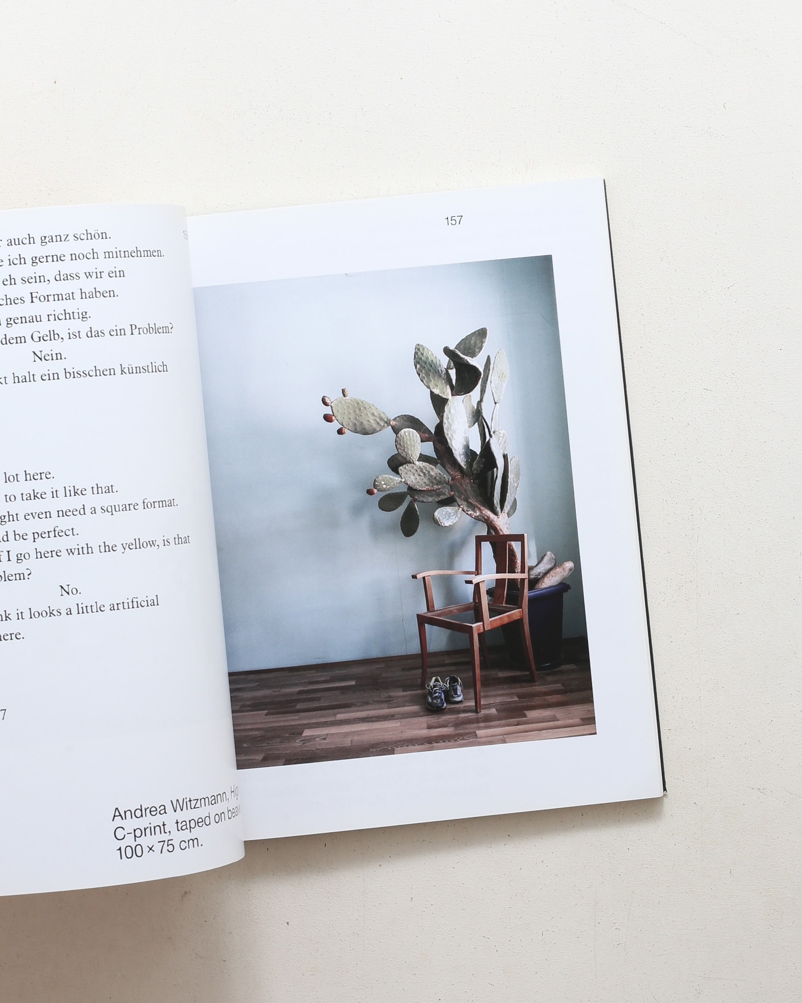 Obstinacy of Things: Still Life in Photographic Concepts of the Present
