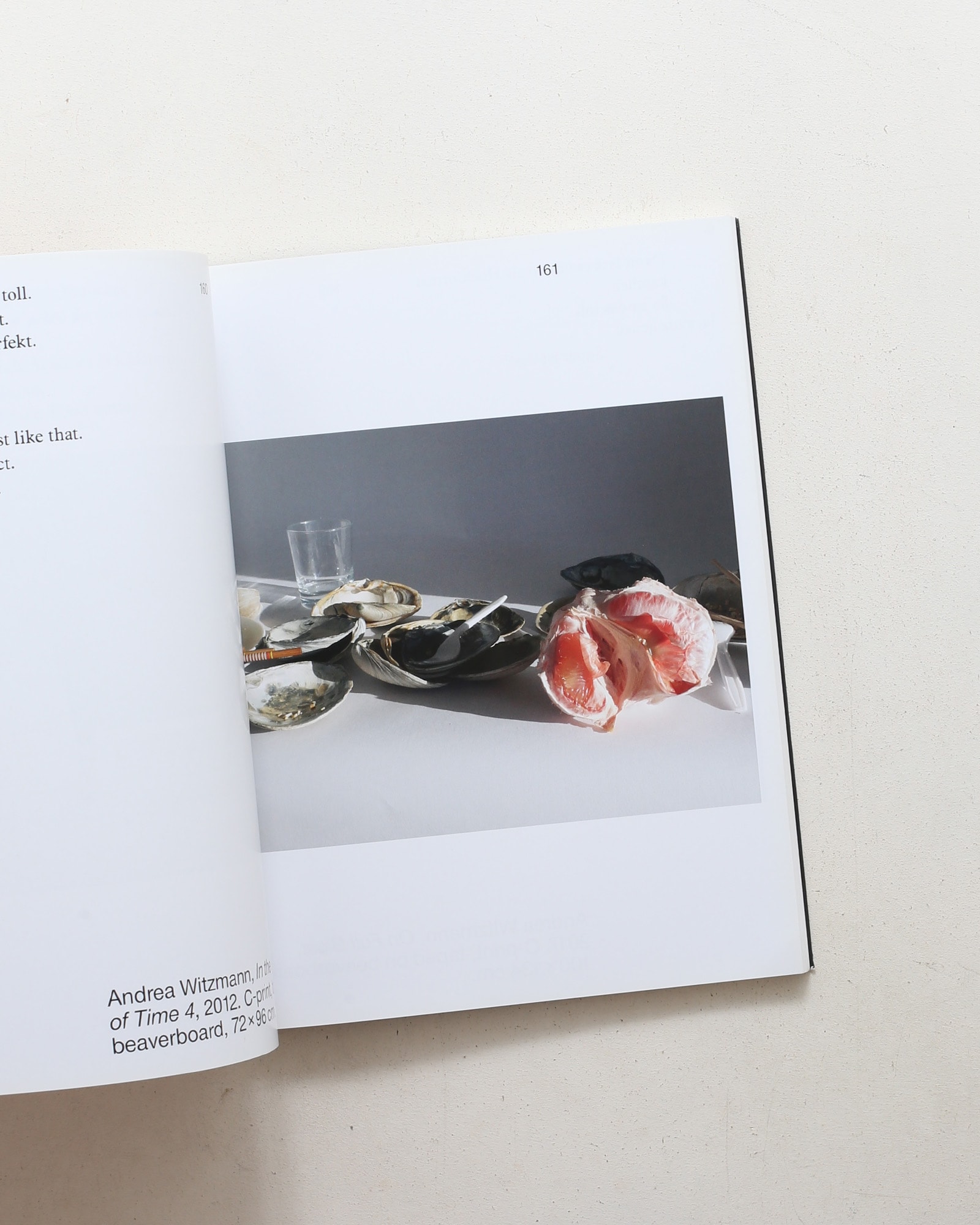 Obstinacy of Things: Still Life in Photographic Concepts of the Present