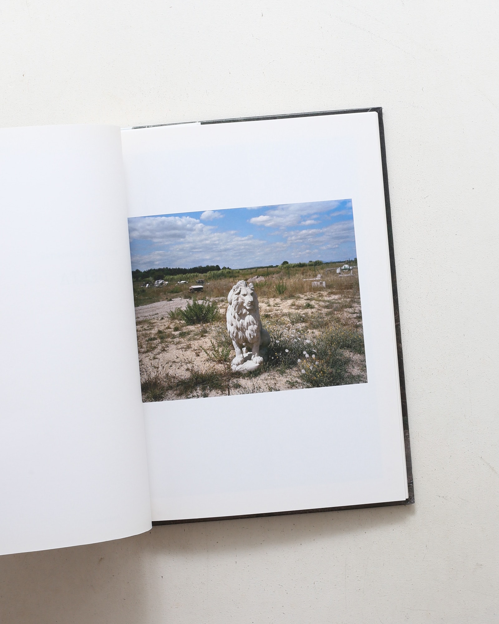 Delta | Francois Deladerriere