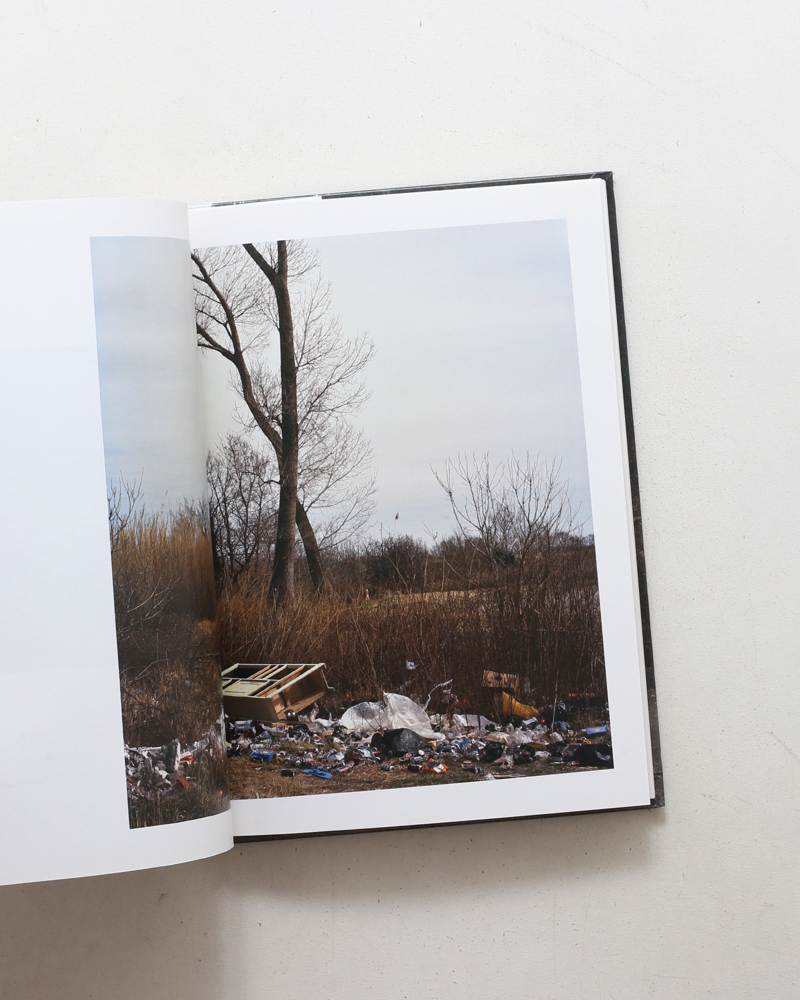 Delta | Francois Deladerriere