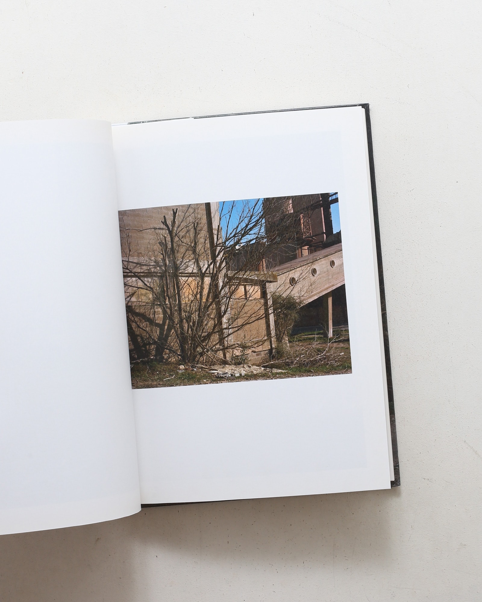 Delta | Francois Deladerriere