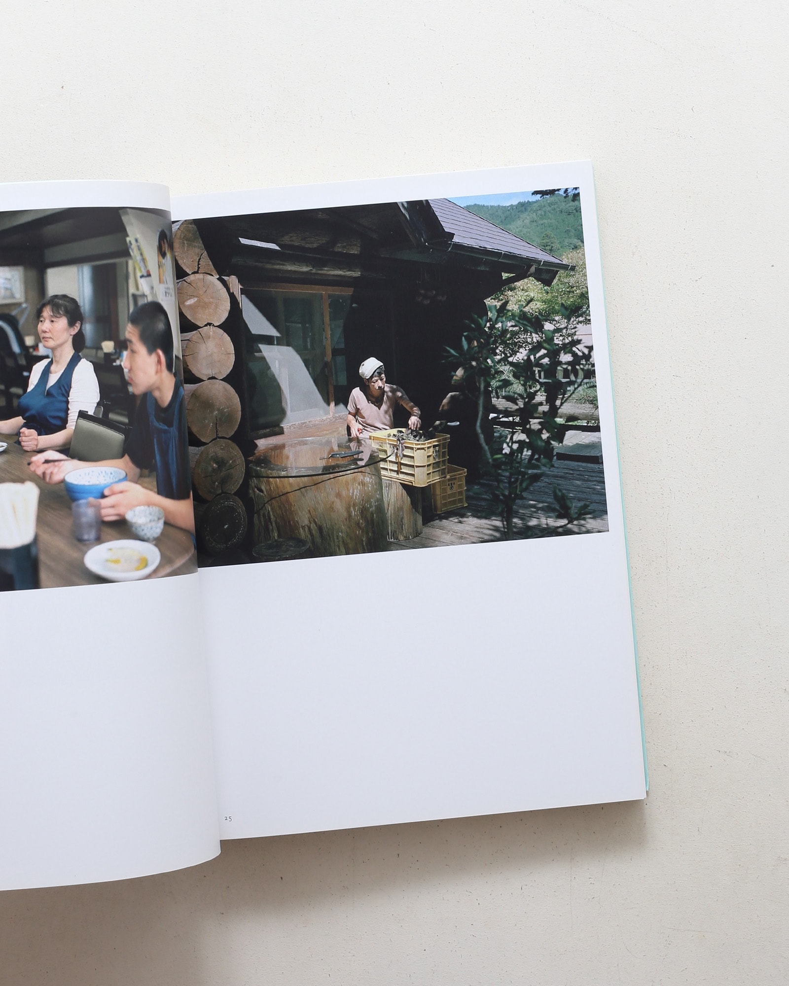 Two Mountains: Ashio, Kumano | Julien Guinand