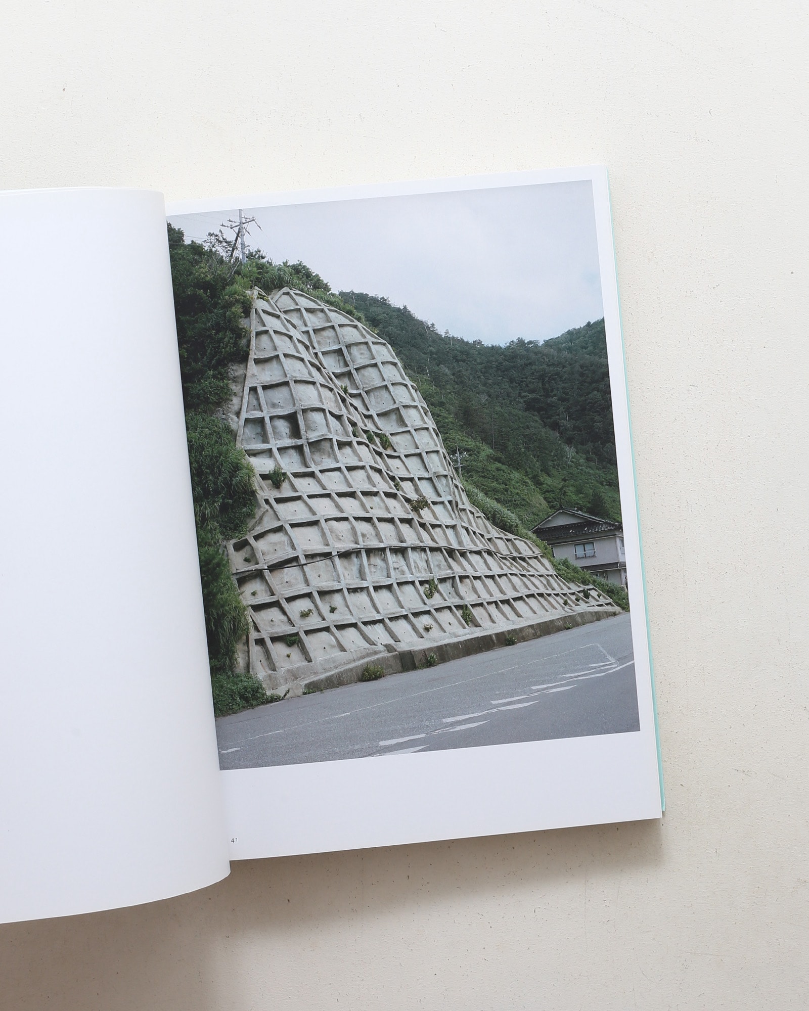 Two Mountains: Ashio, Kumano | Julien Guinand