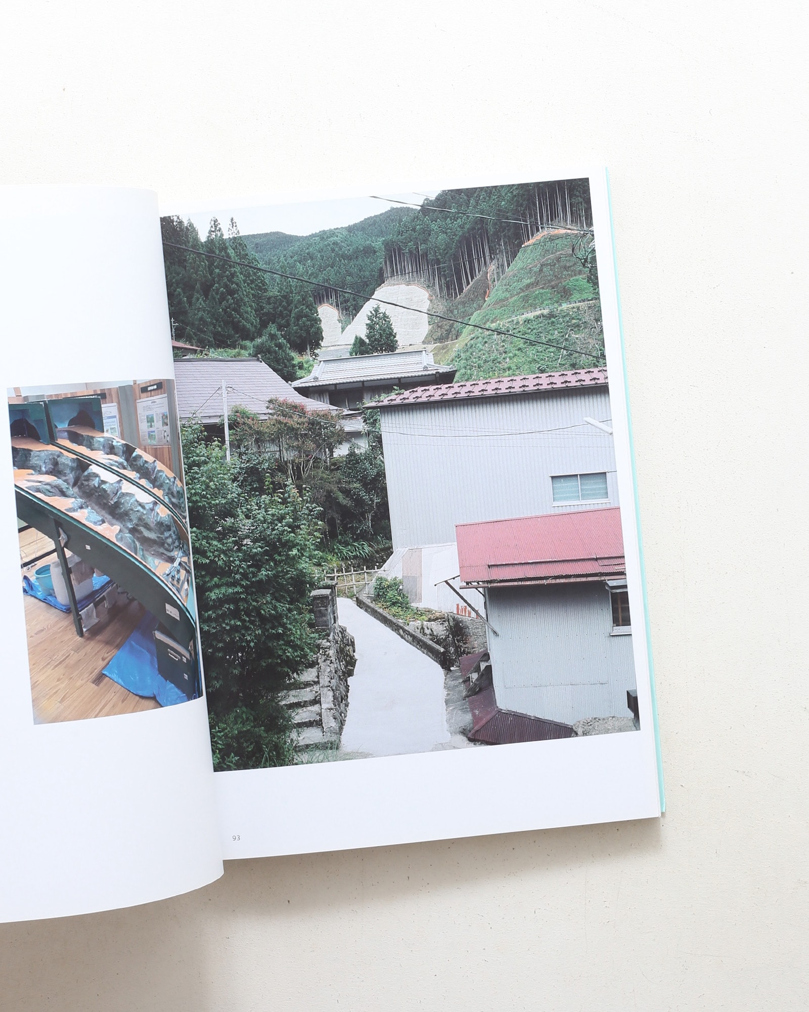 Two Mountains: Ashio, Kumano | Julien Guinand