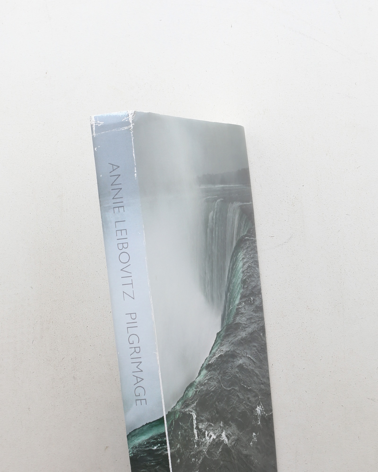 Annie Leibovitz: Pilgrimage