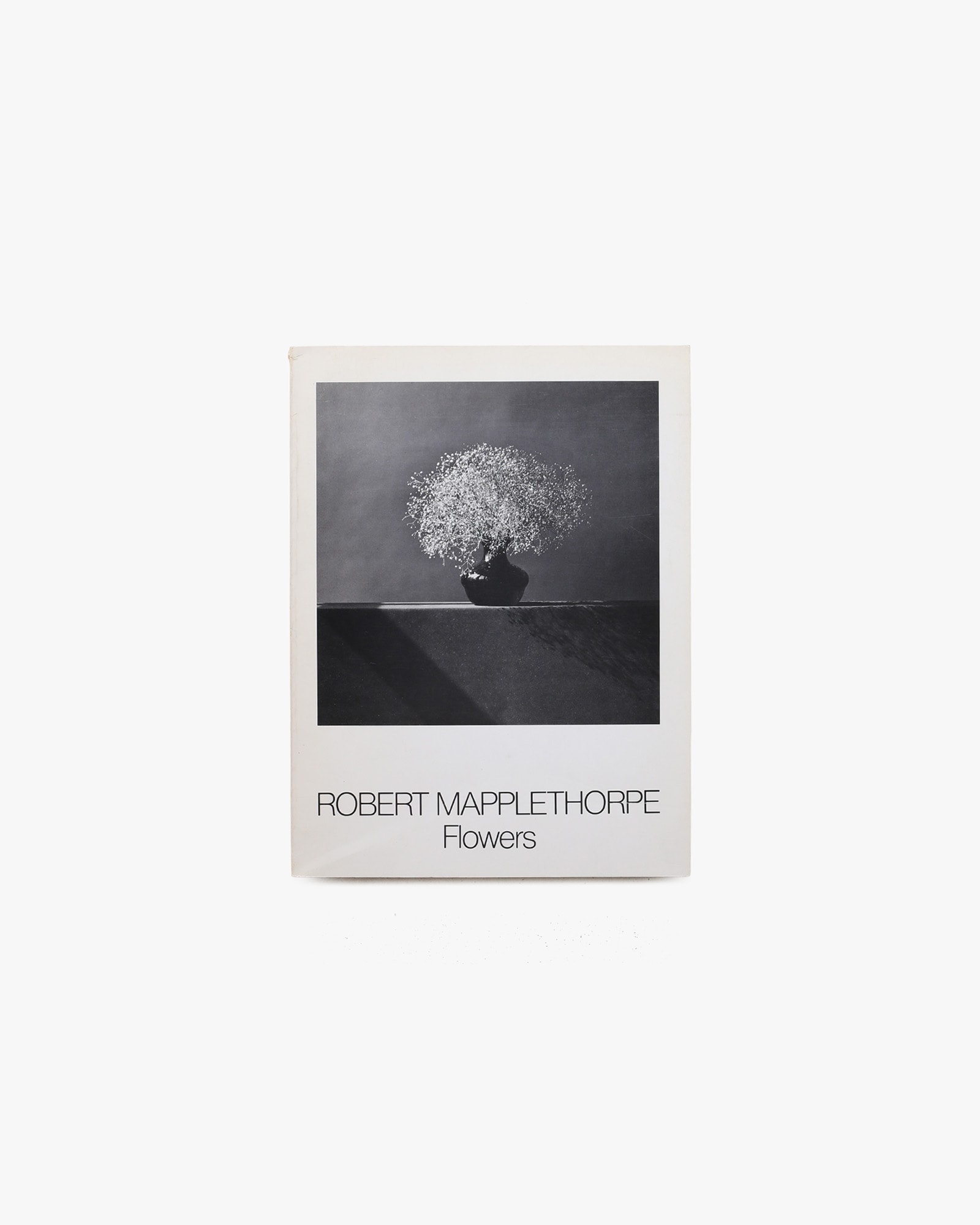 Flowers | Robert Mapplethorpe
