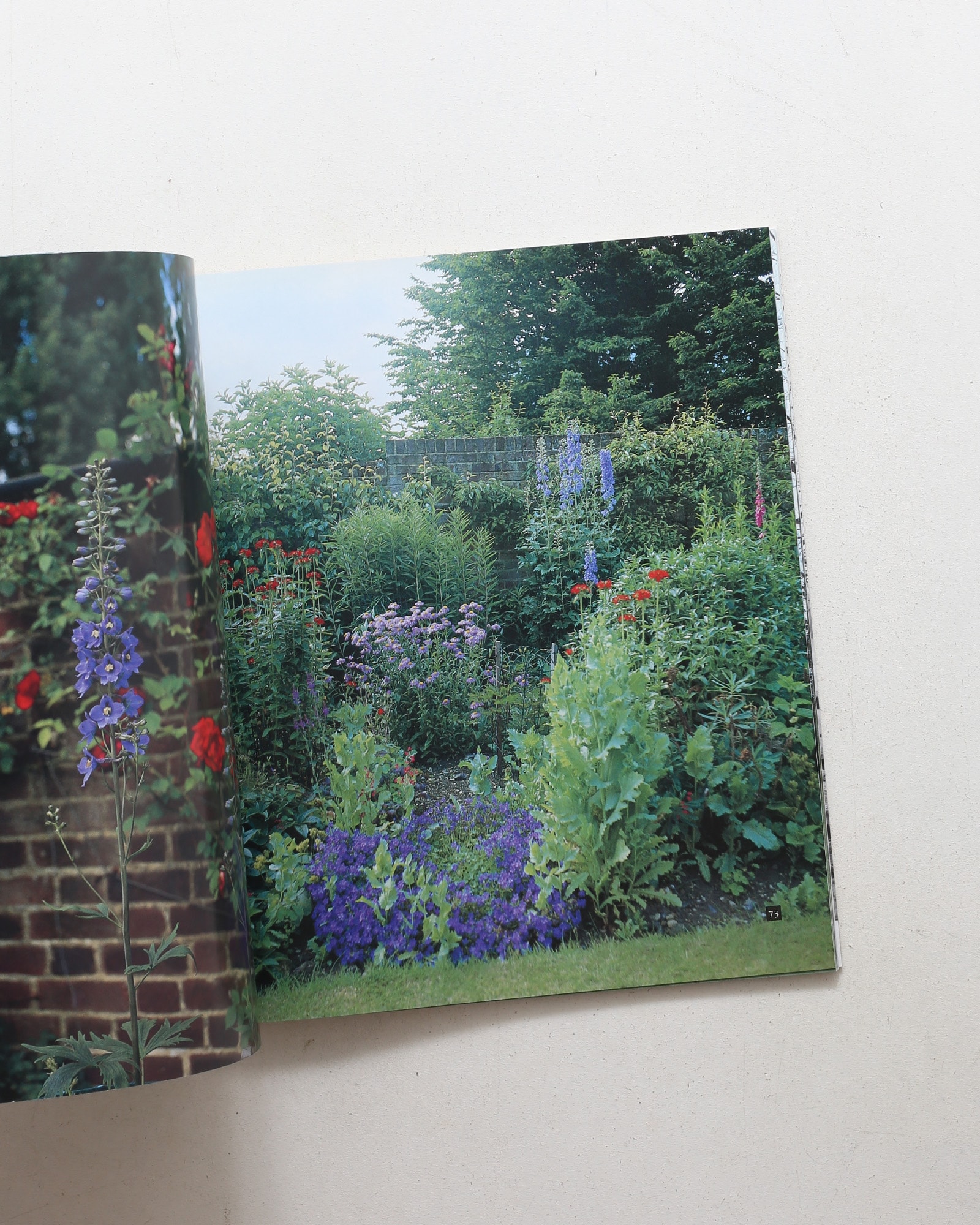 In Irina's Garden: With Henry Moore's Sculpture