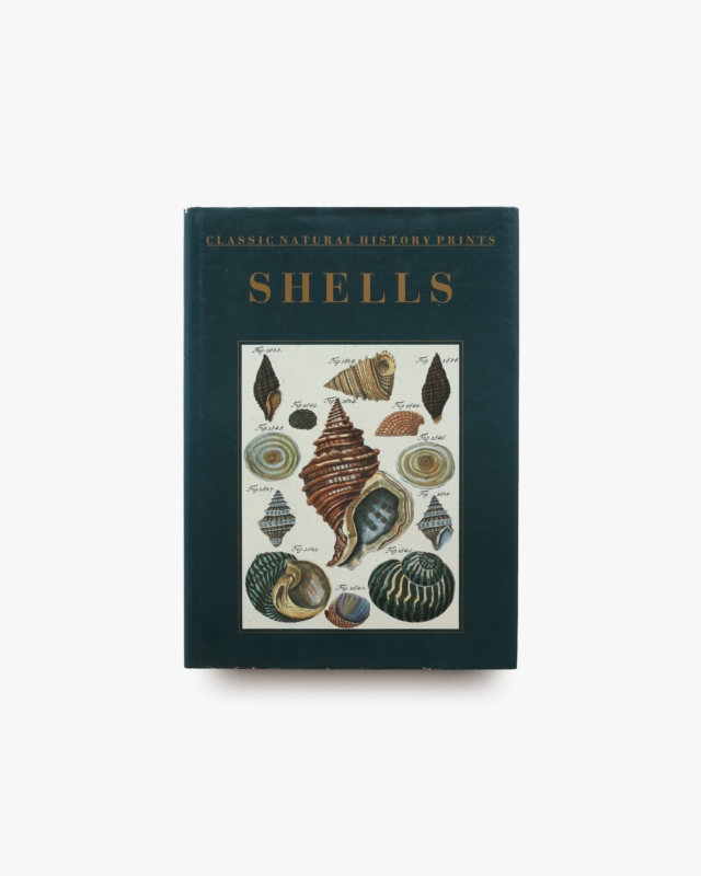Shells: Classic Natural History Prints