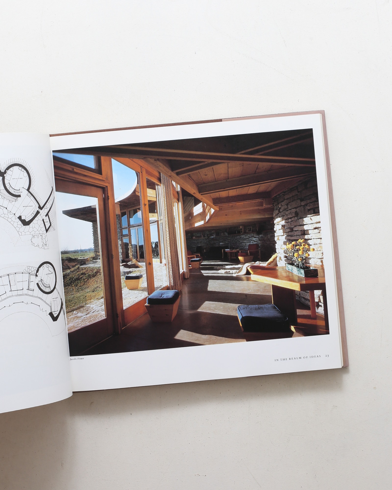 Frank Lloyd Wright: In the Realm of Ideas
