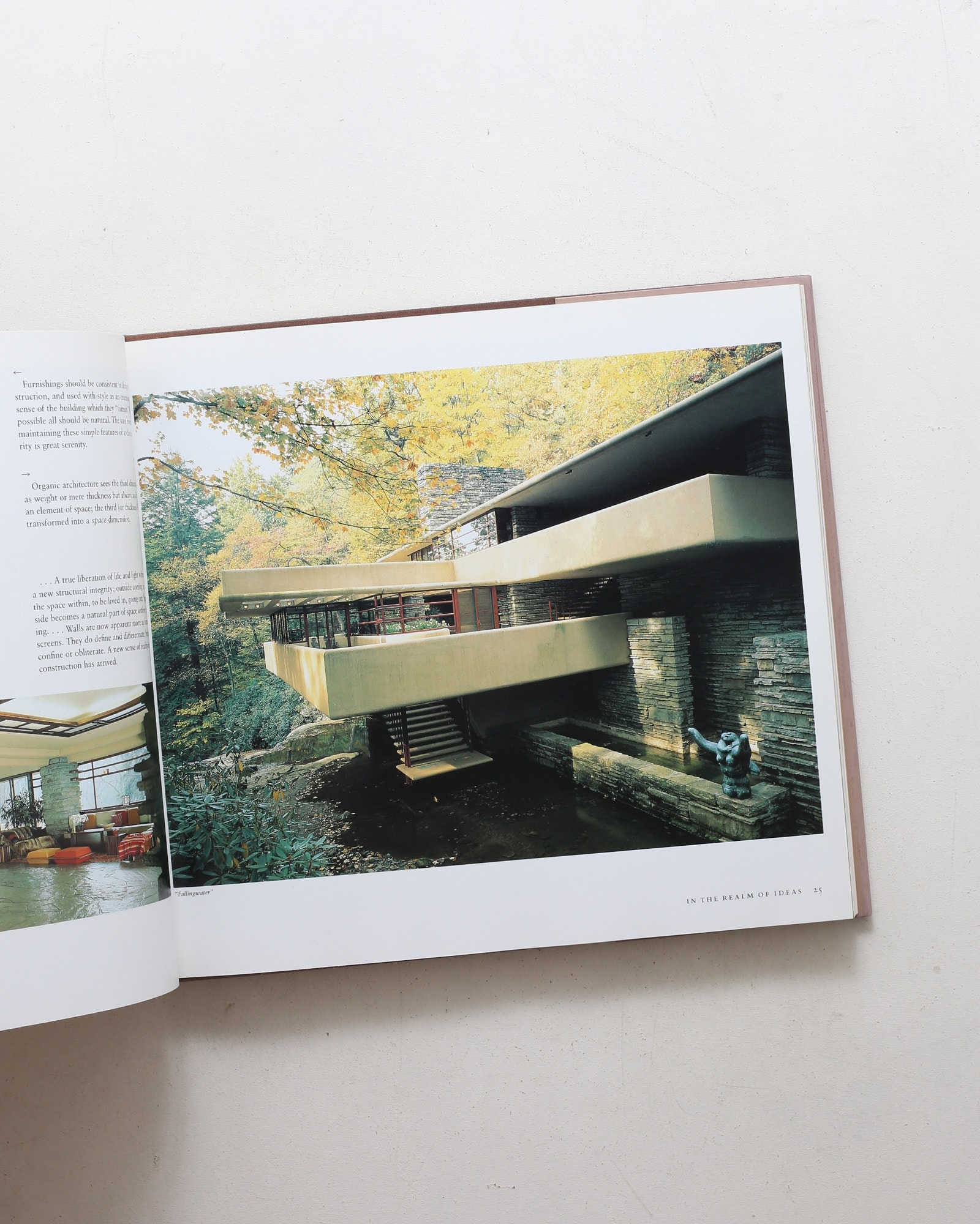 Frank Lloyd Wright: In the Realm of Ideas