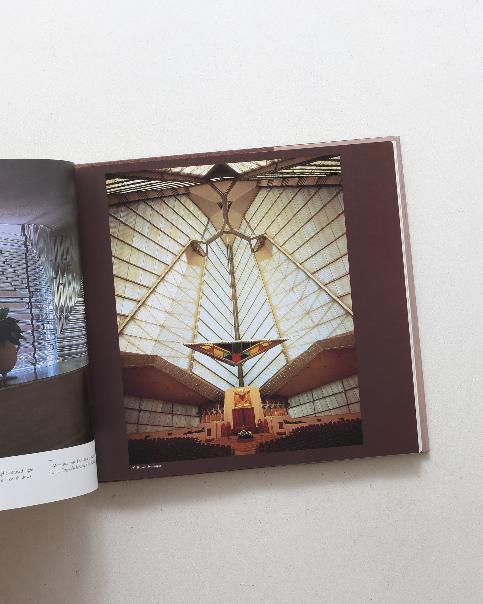 Frank Lloyd Wright: In the Realm of Ideas