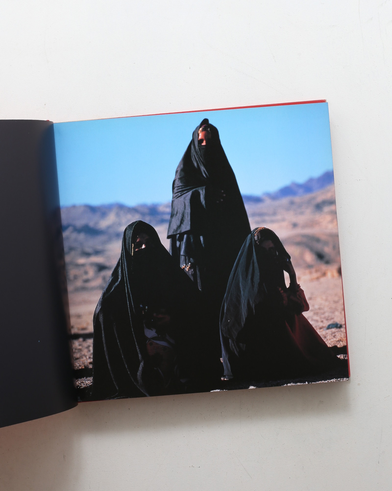 Colors of the Vanishing Tribes | Bonnie Young