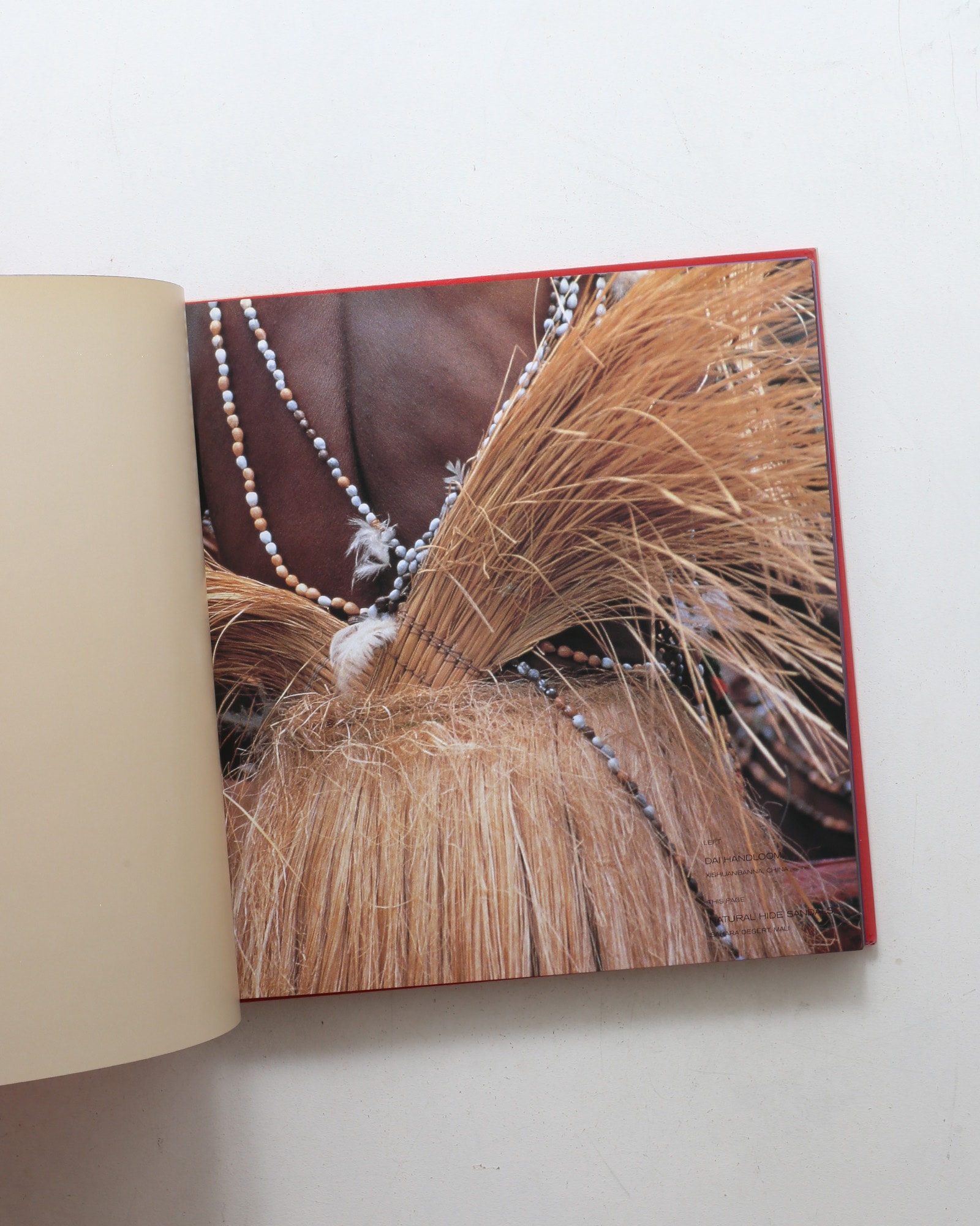 Colors of the Vanishing Tribes | Bonnie Young
