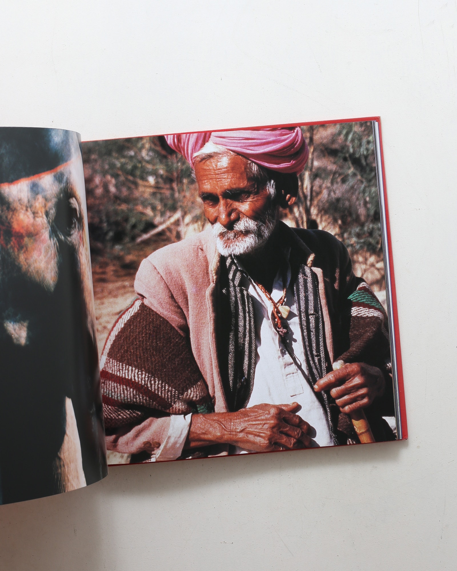 Colors of the Vanishing Tribes | Bonnie Young