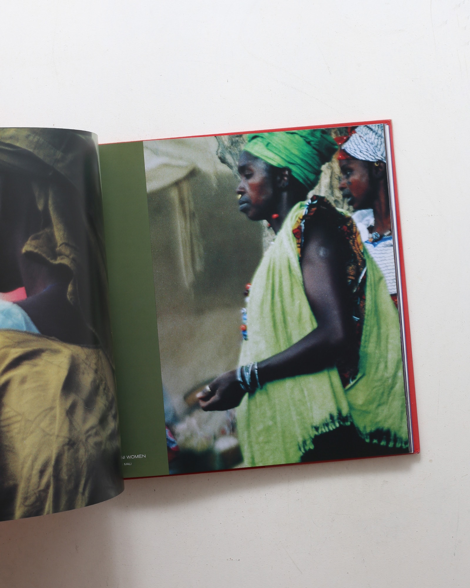 Colors of the Vanishing Tribes | Bonnie Young
