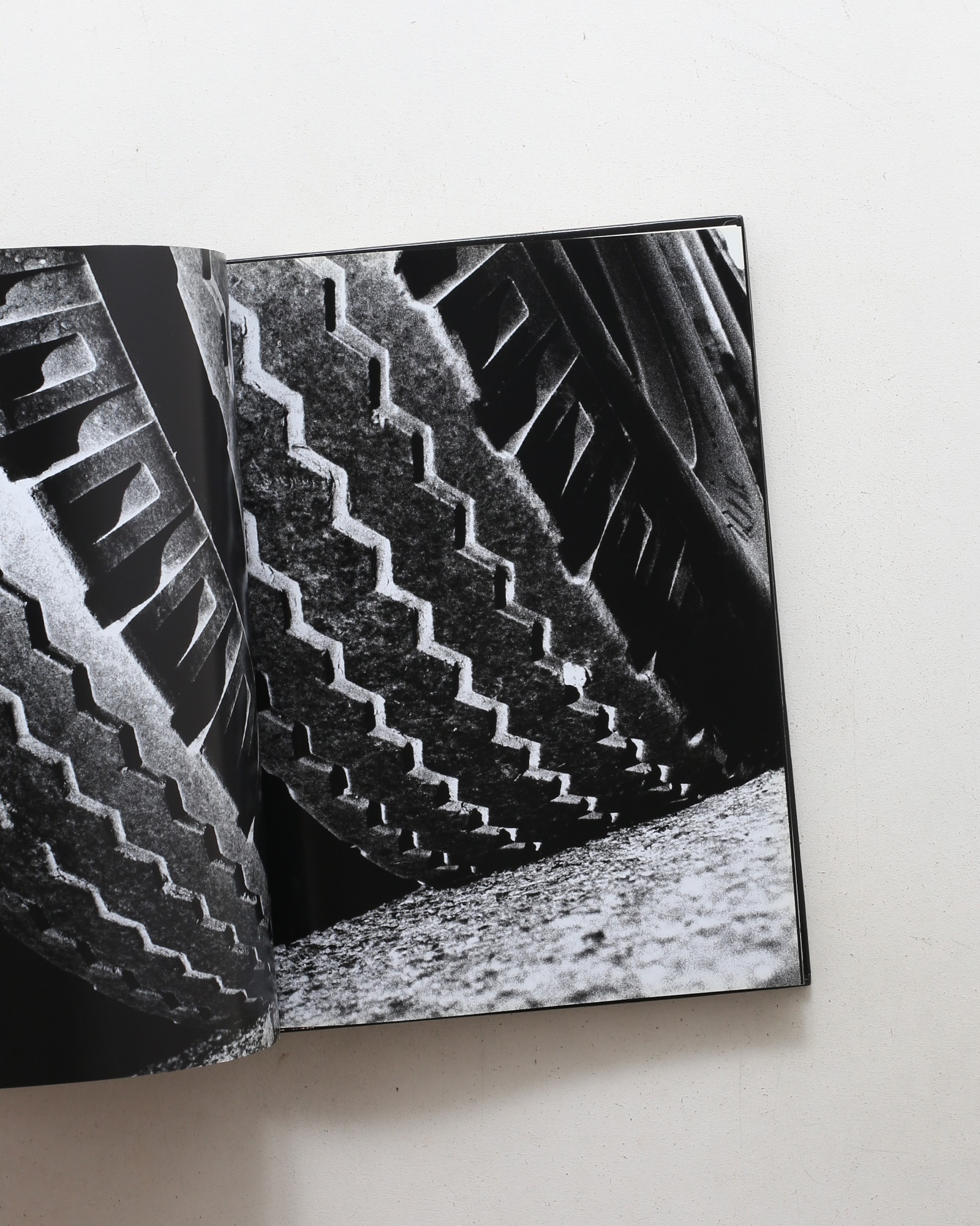 Daido Moriyama: Retrospective Since 1965