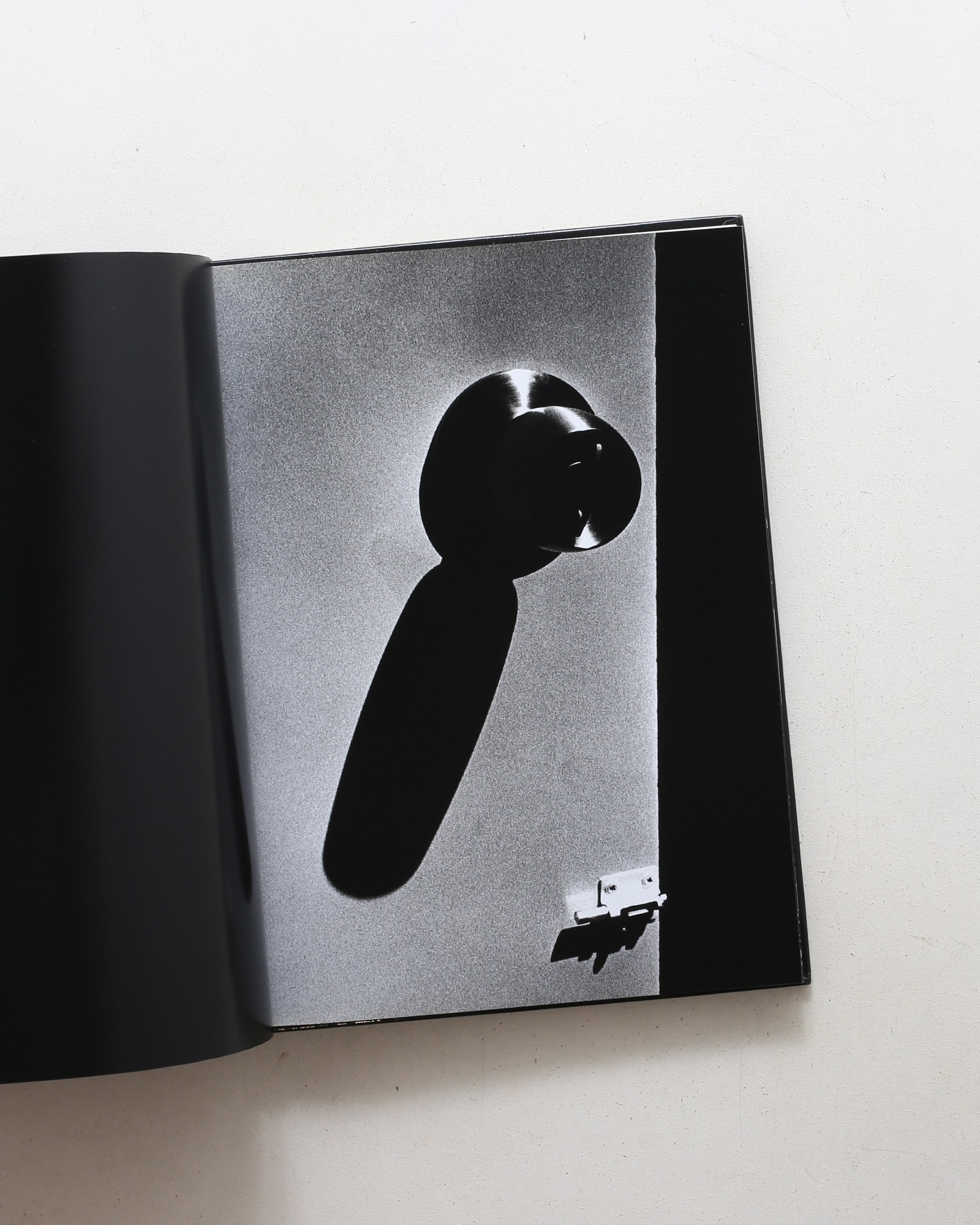Daido Moriyama: Retrospective Since 1965