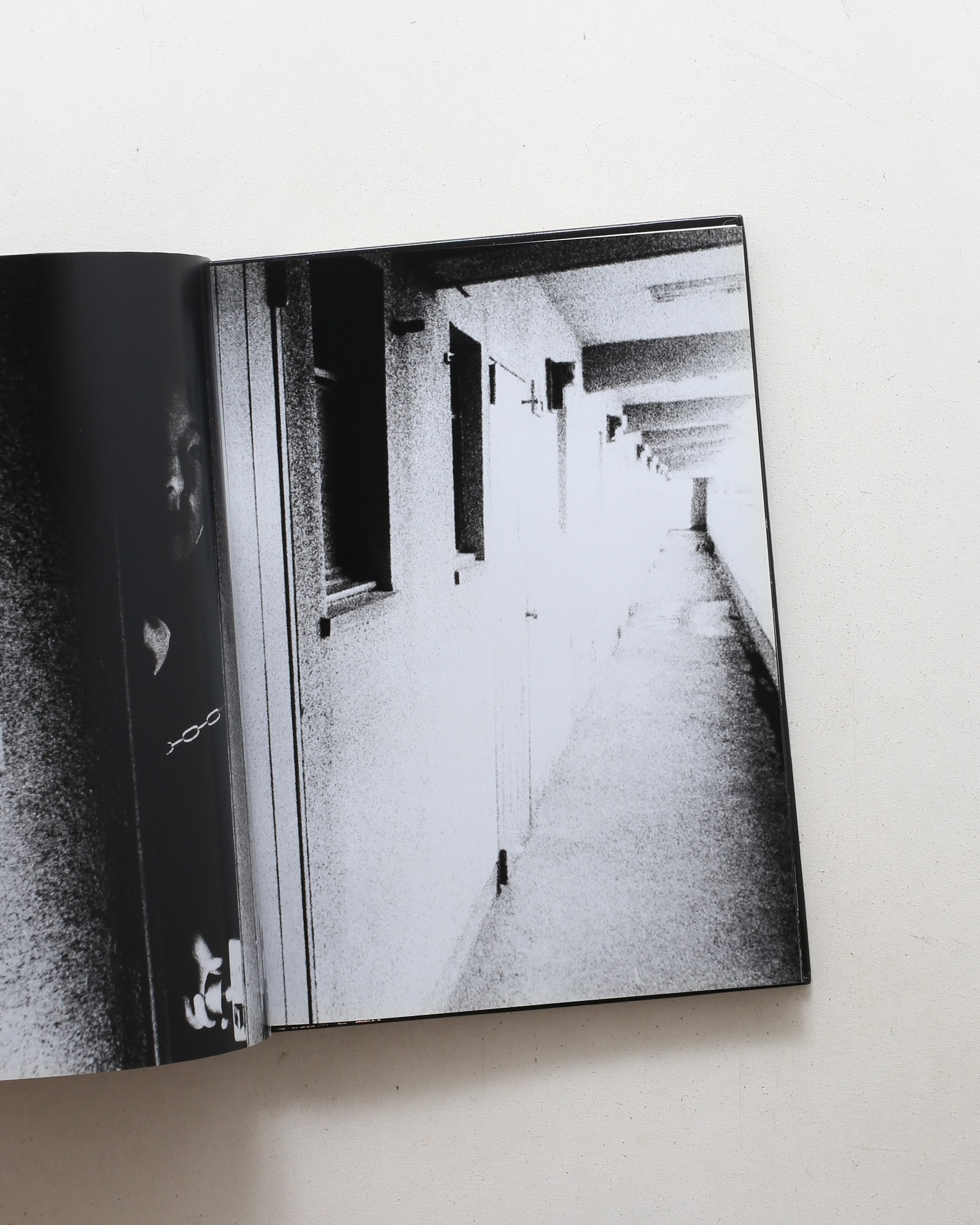 Daido Moriyama: Retrospective Since 1965