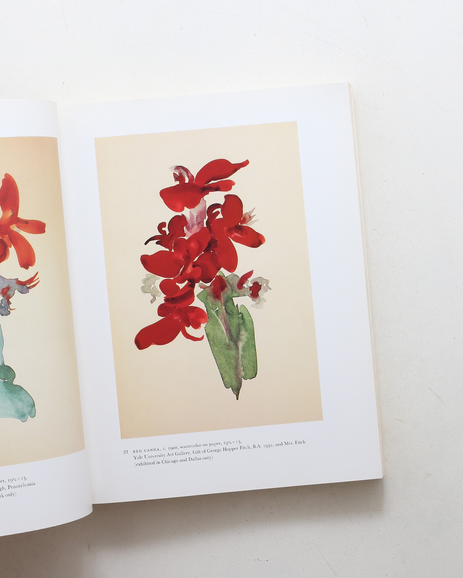 Georgia O'Keeffe: Art and Letters