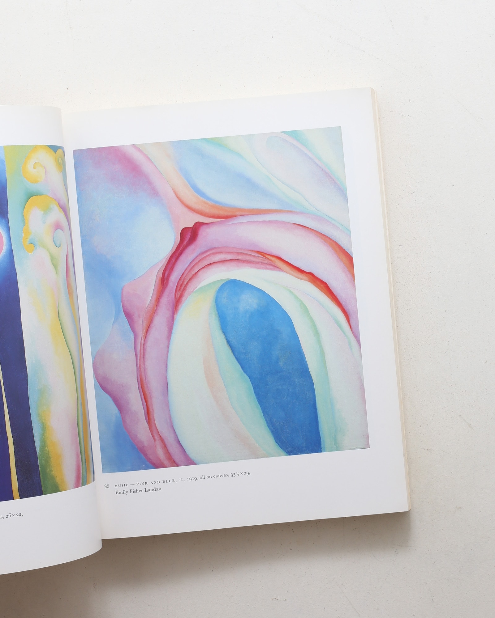 Georgia O'Keeffe: Art and Letters