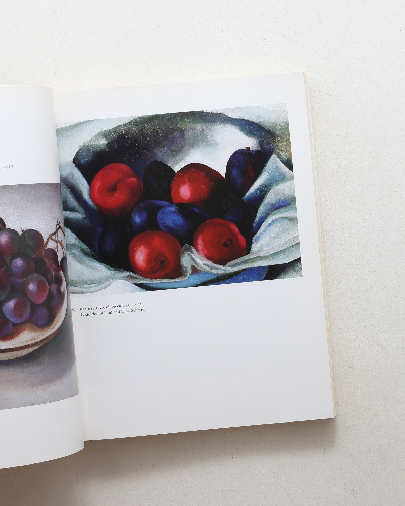 Georgia O'Keeffe: Art and Letters