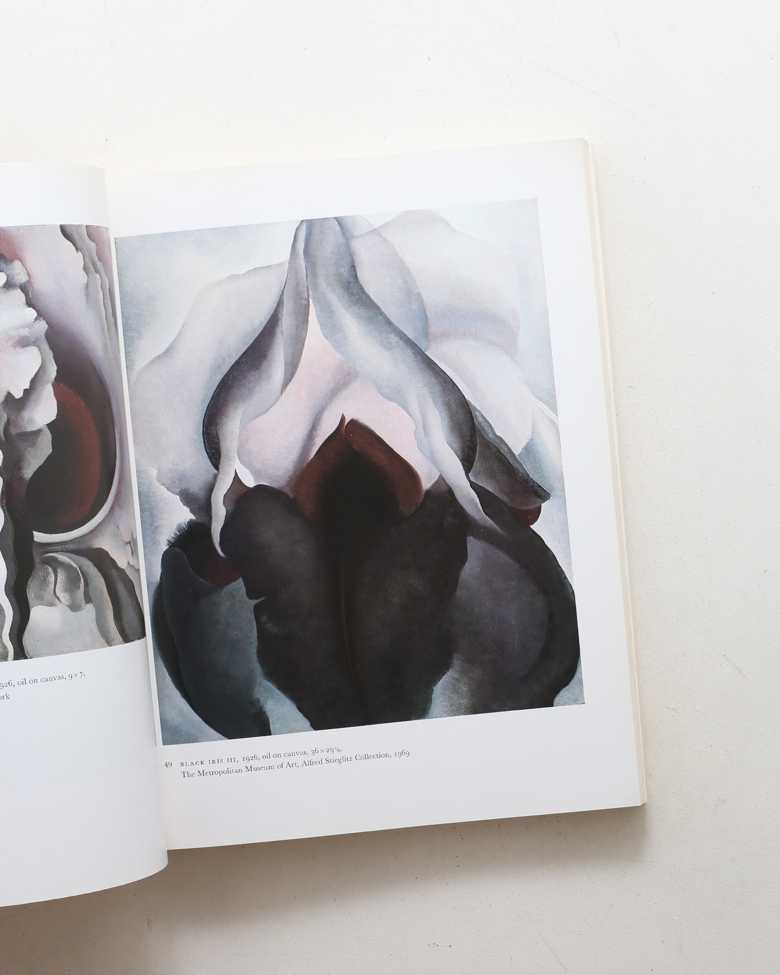 Georgia O'Keeffe: Art and Letters