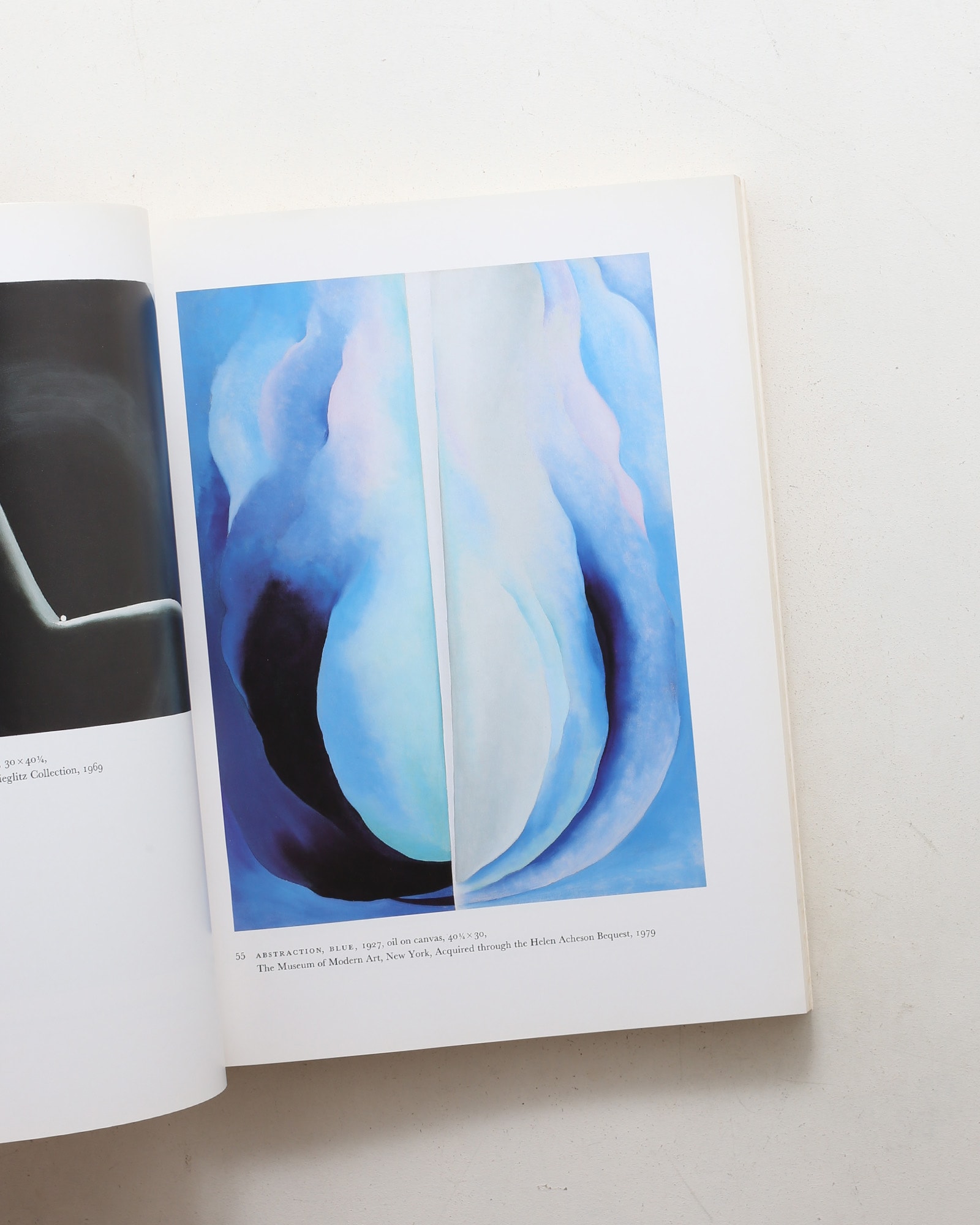 Georgia O'Keeffe: Art and Letters